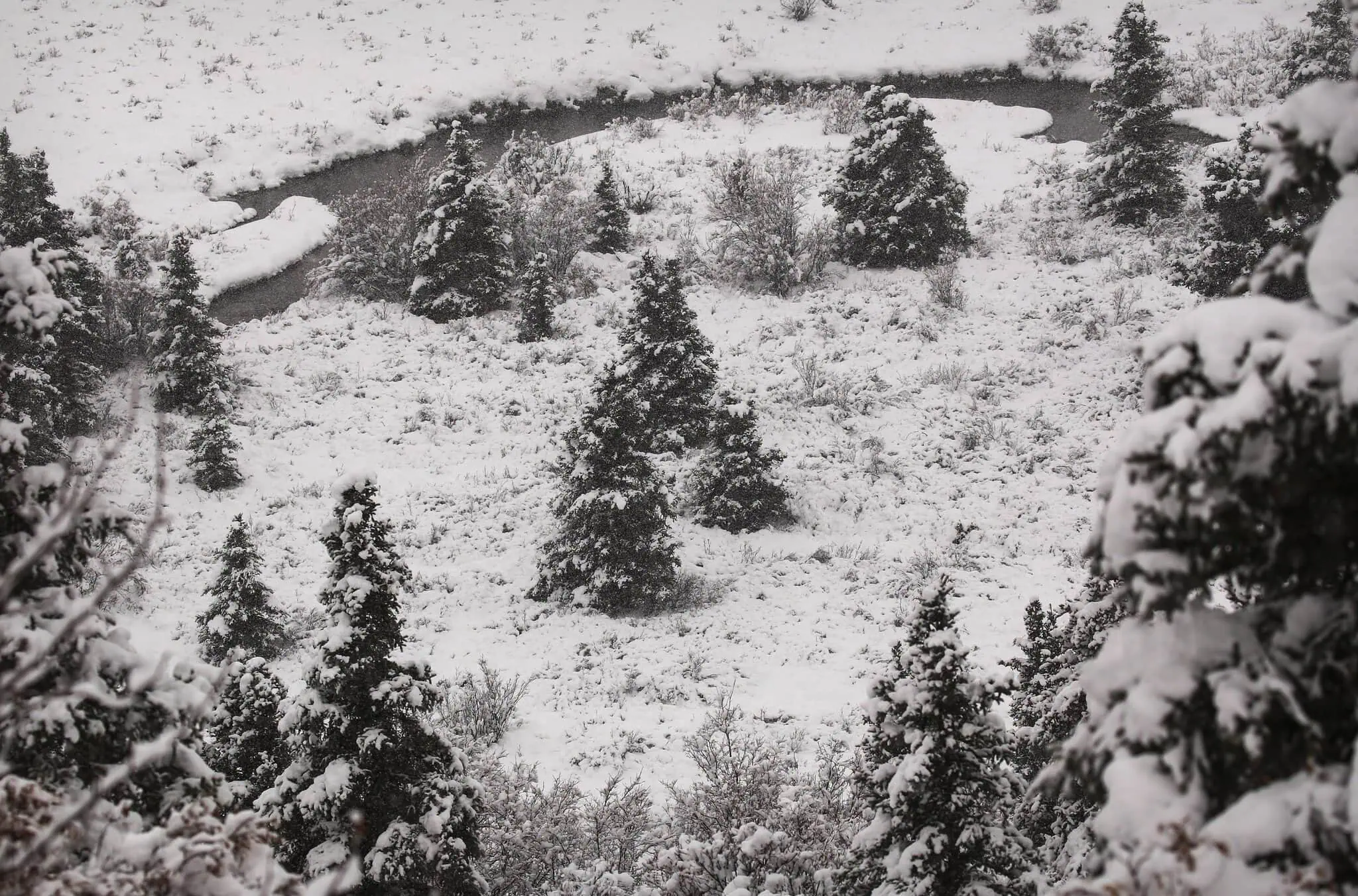Primera nieve de octubre en la Denali Park Road