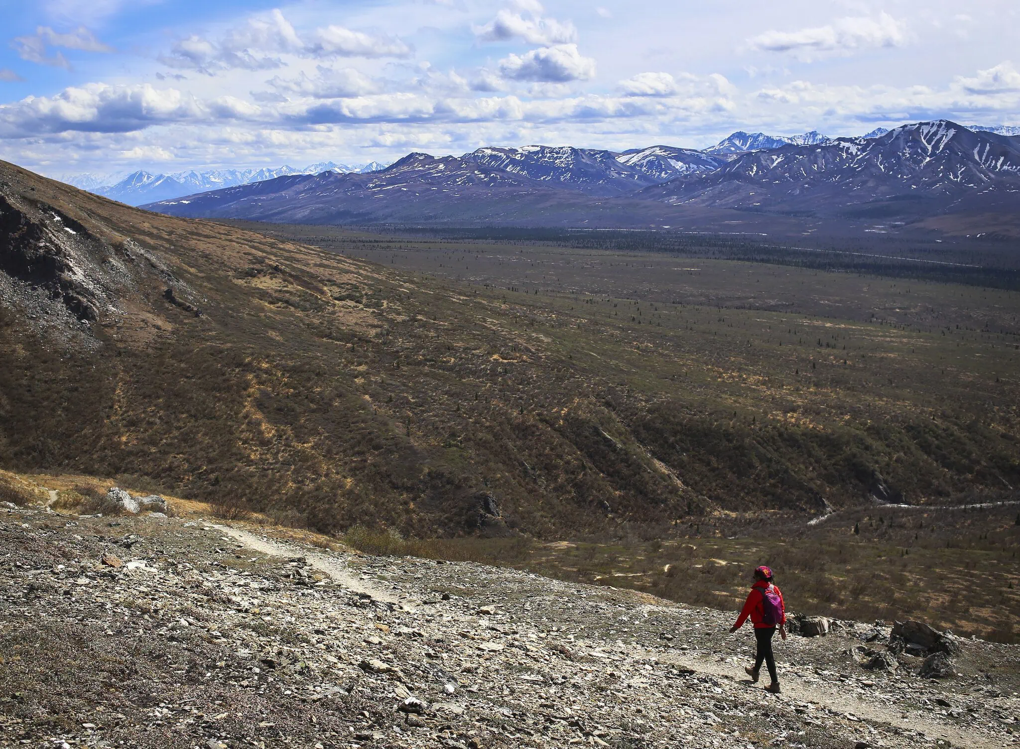 Wanderer auf dem Savage Alpine Trail im Denali National Park