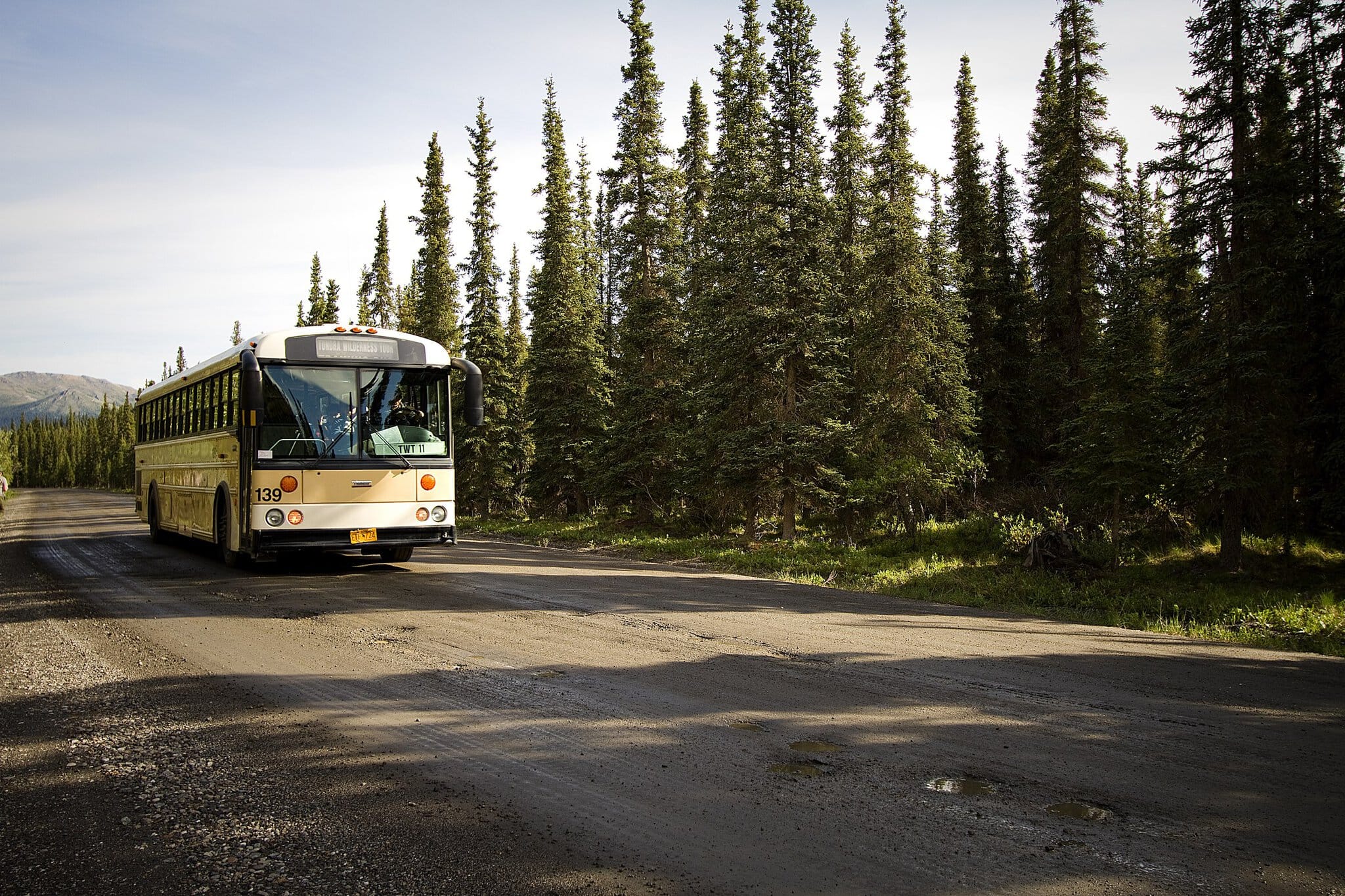 Parcul Național Denali, Alaska: ghid complet 2026 3 Autobuzul Tundra Wilderness Tour în Denali