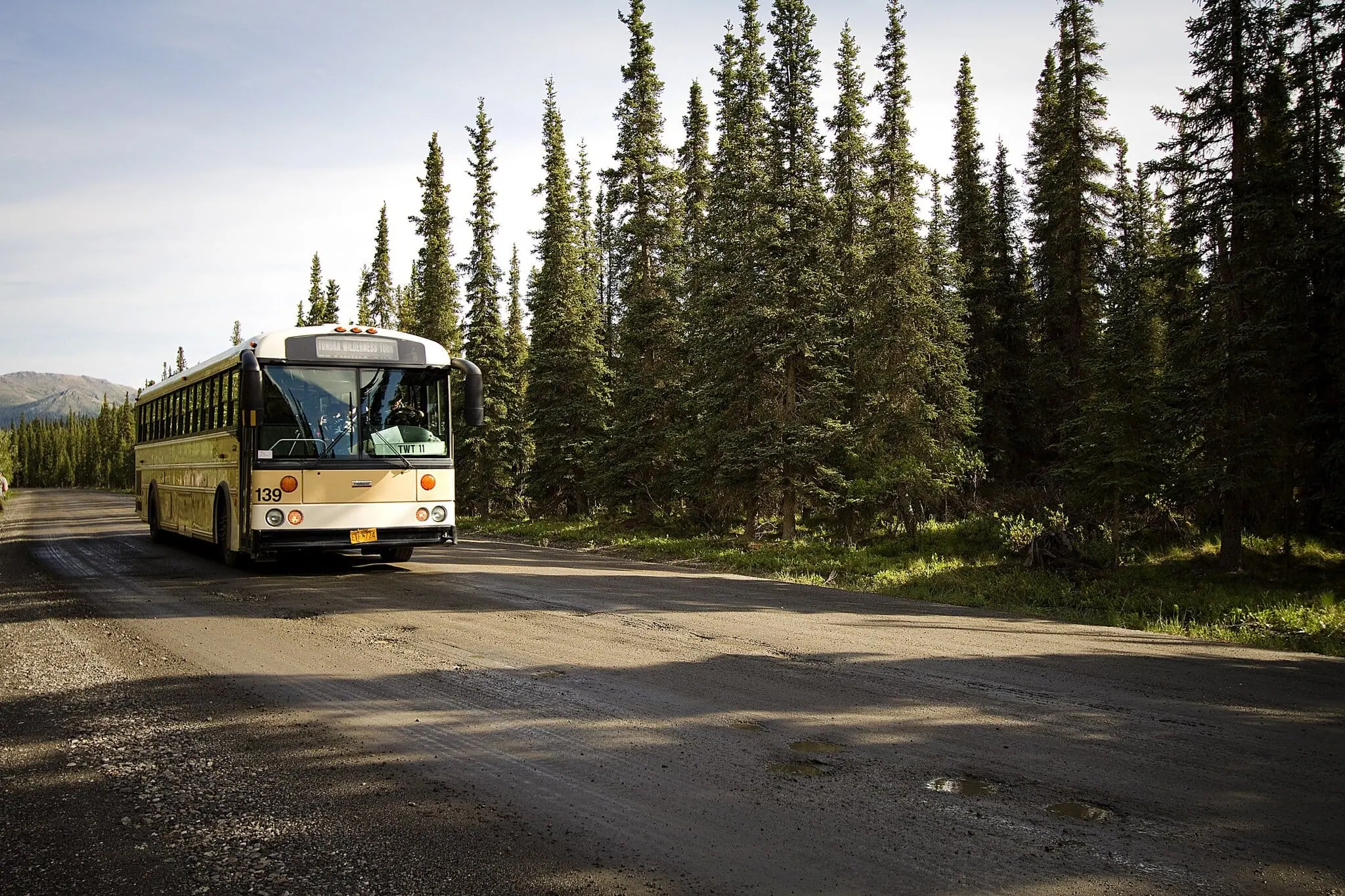 Tundra Wilderness Tour Bus im Denali National Park
