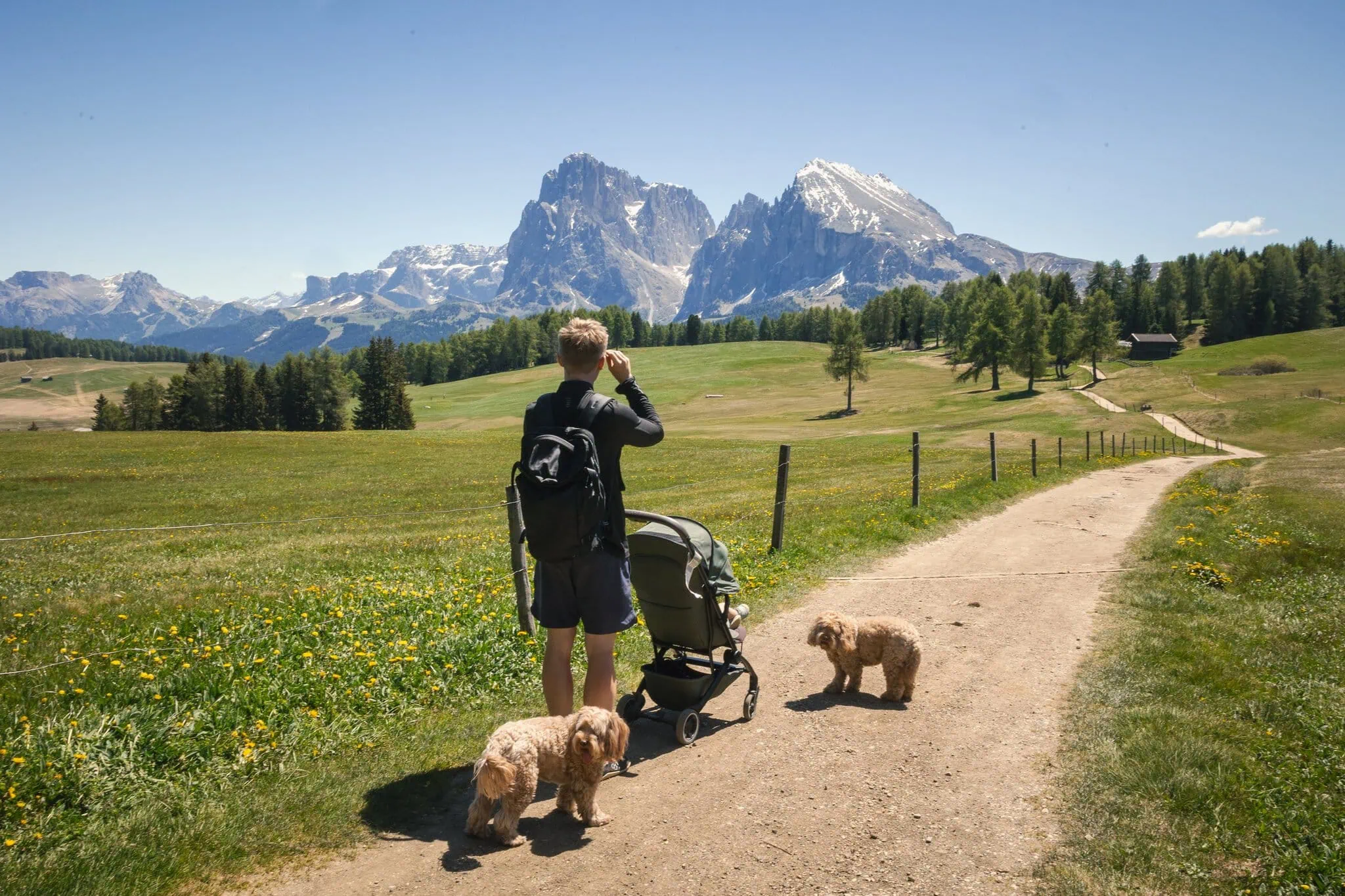 Dolomiten mit Kindern: 12 Tipps für Ausflüge (auch mit Baby) 1 Familie mit Kinderwagen und zwei Hunden auf einer Bergwiese in den Dolomiten