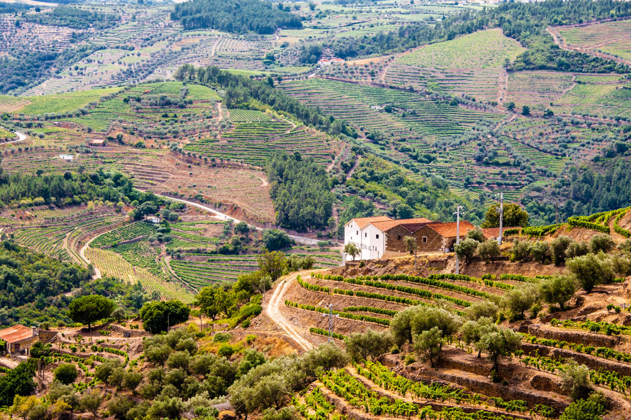 Údolí Douro, Portugalsko: 14 tipů, co dělat – portské víno, vinice a plavba 8 Nádraží v Pinhão a jeho modré azulejos