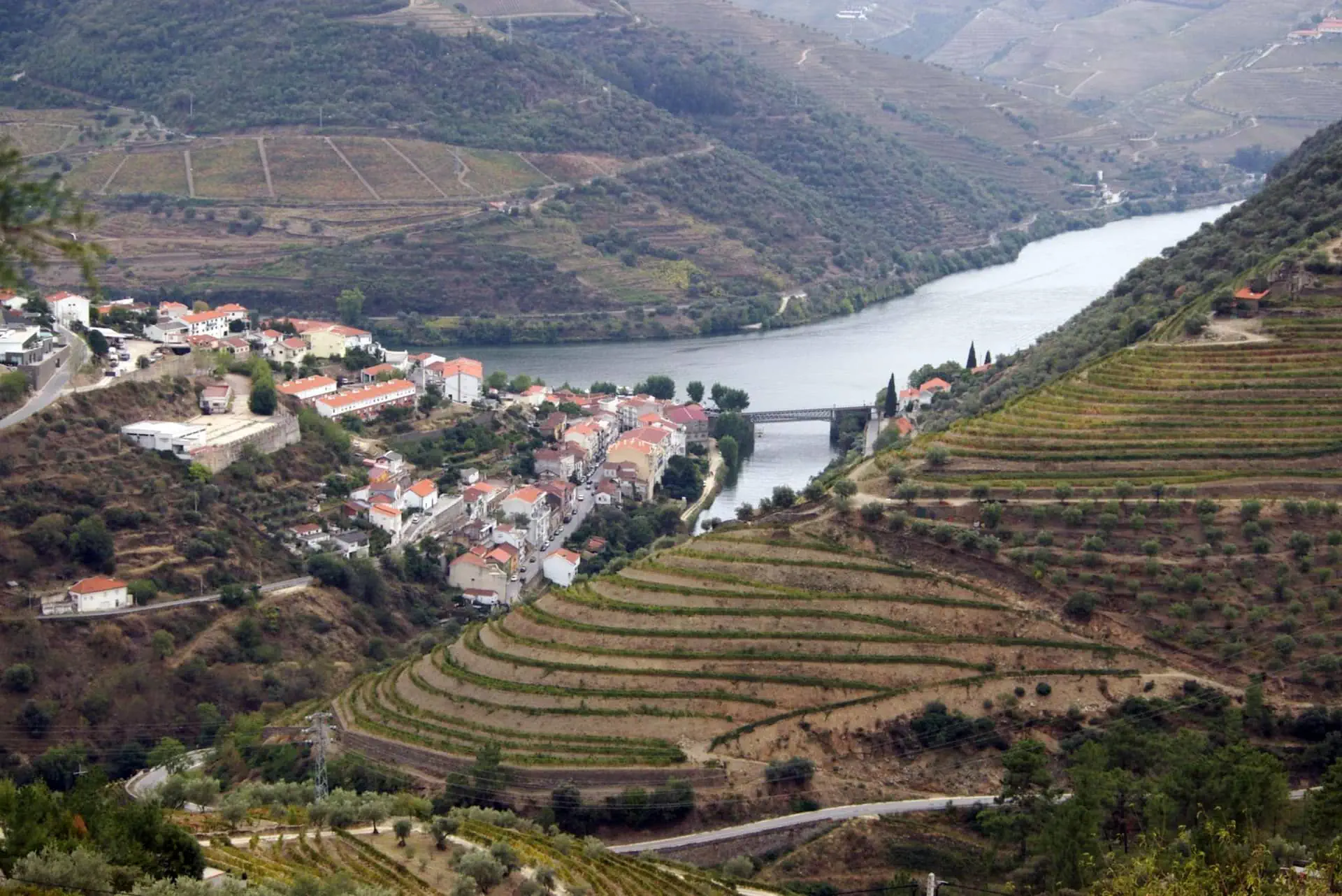Visita alle Quintas e degustazione del vino di Porto