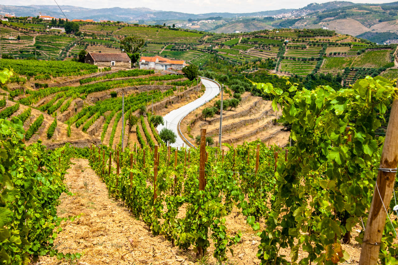 Údolí Douro, Portugalsko: 14 tipů, co dělat – portské víno, vinice a plavba 5 Terasovité vinice zapsané v UNESCO