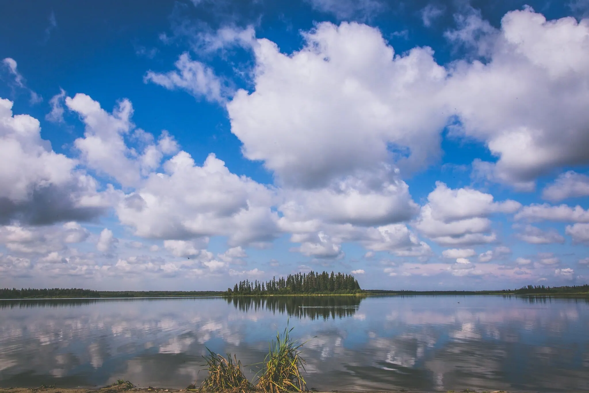 Edmonton, Kanada: 15 tipů, co vidět a dělat 11 Klidné jezero s ostrovem a oblaky v Elk Island National Park