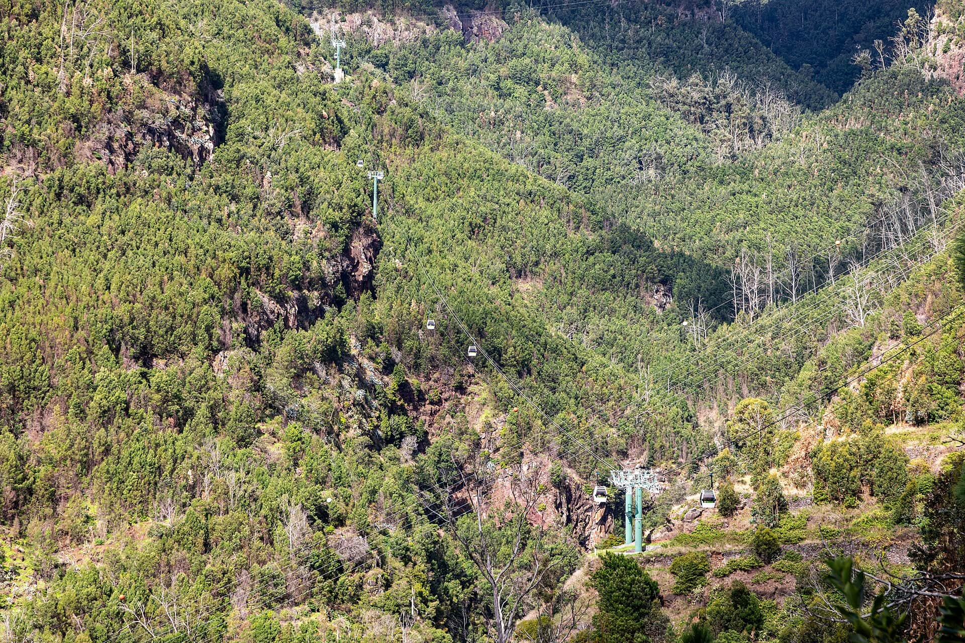 Funchal, Madeira: 15 tipů, co vidět v hlavním městě ostrova 5 Botanická zahrada Jardim Botânico