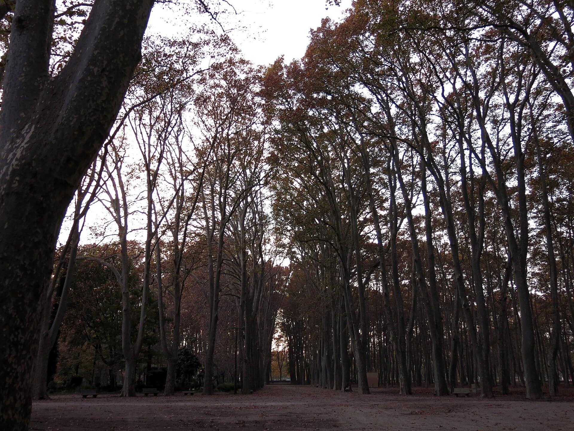 Girona, Španělsko: 16 tipů, co vidět a dělat 8 Parc de la Devesa