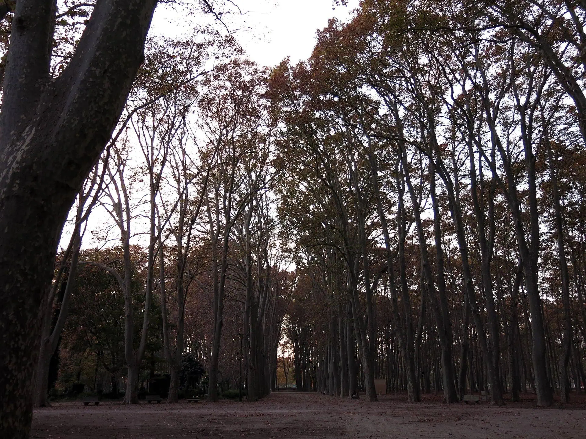 Parc de la Devesa