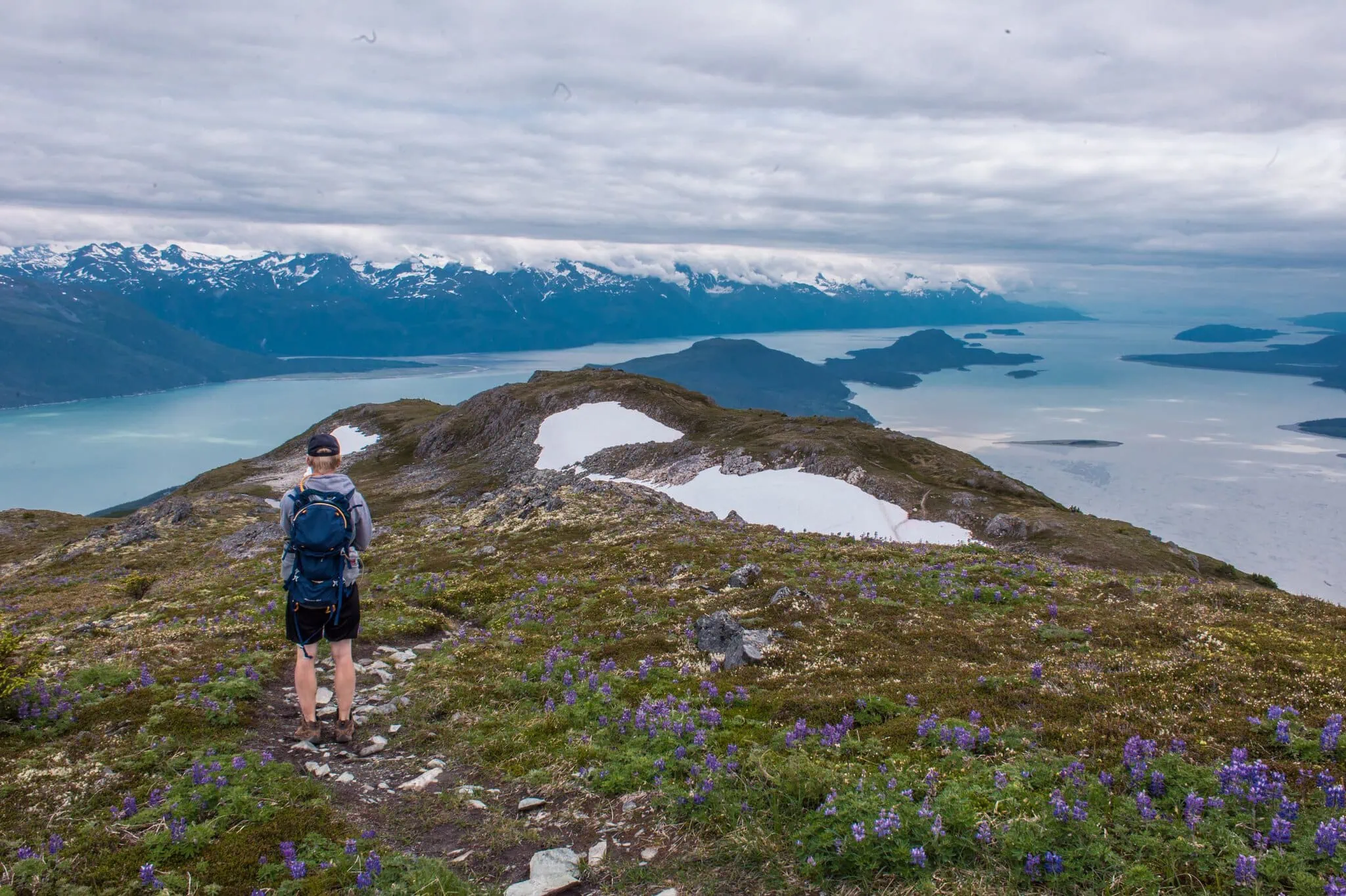 Wandelaar met uitzicht op het fjord bij Haines