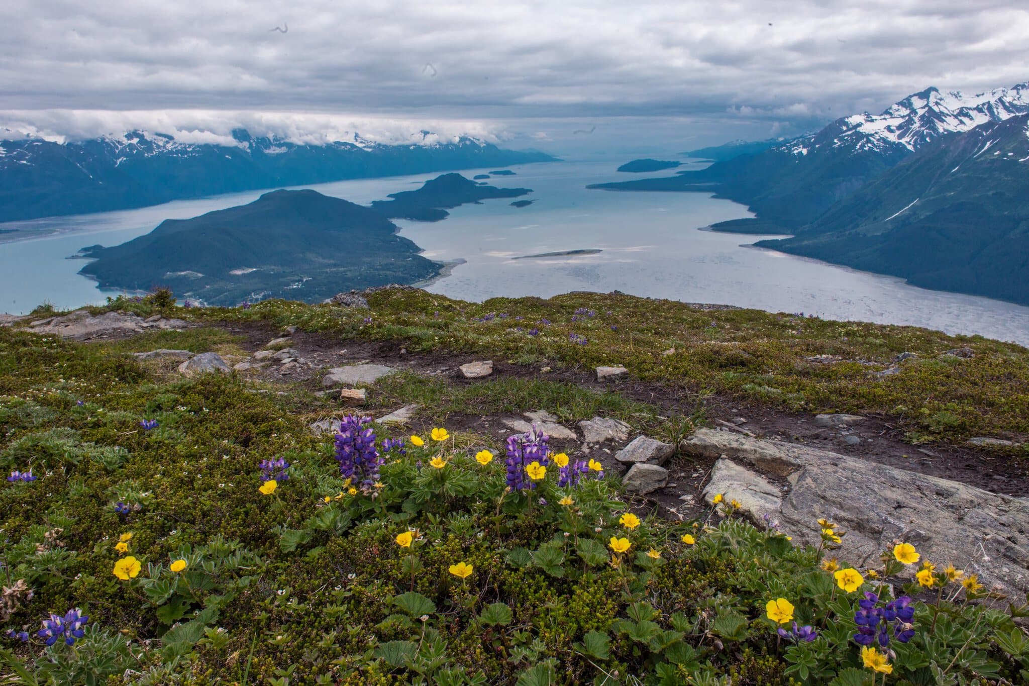 Haines și Skagway, Alaska: 14 idei ce să vezi și să faci 1 Lupini și flori deasupra fiordului în împrejurimile Haines