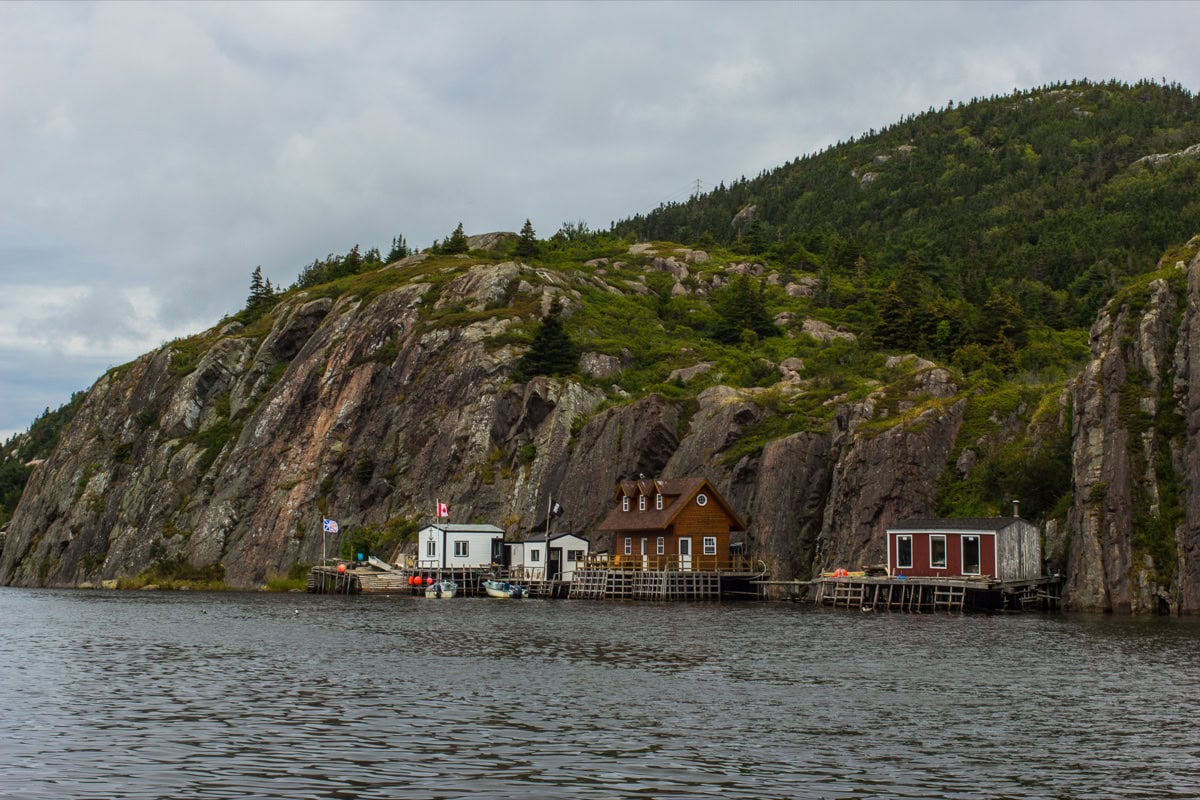 St. John's, Newfoundland, Canada: 12 lucruri de văzut și de făcut 11 Căsuțele istorice ale cartierului The Battery clădite în stâncă în St. John's