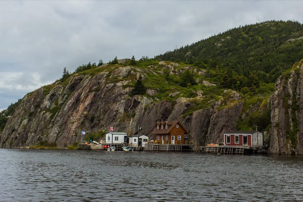 Case storiche del quartiere The Battery incastonate nella roccia a St. John's