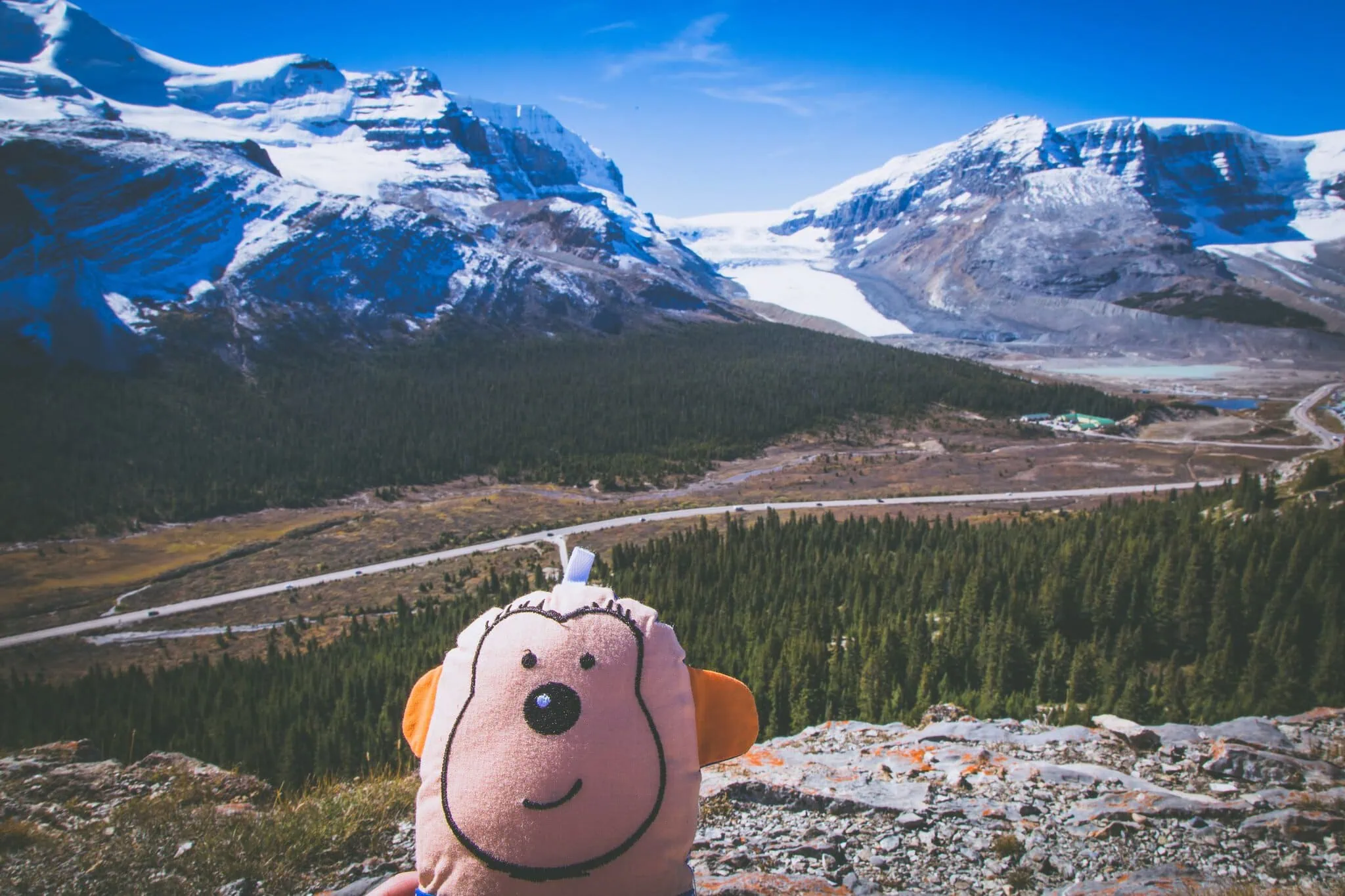 Athabasca Glacier and Columbia Icefield with a plush toy in the foreground