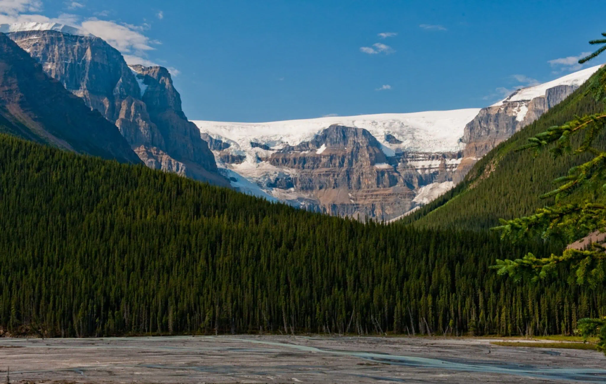 Stutfield Glacier from the Goats and Glaciers viewpoint