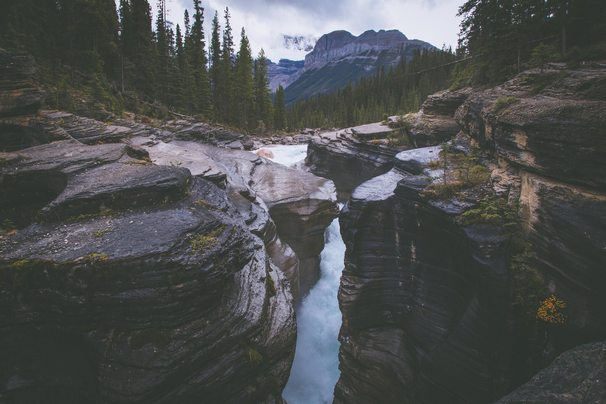 Icefields Parkway: 232 km cel mai frumos drum din lume (ghid) 6 Canionul îngust Mistaya Canyon cu râul turcoaz spumegând