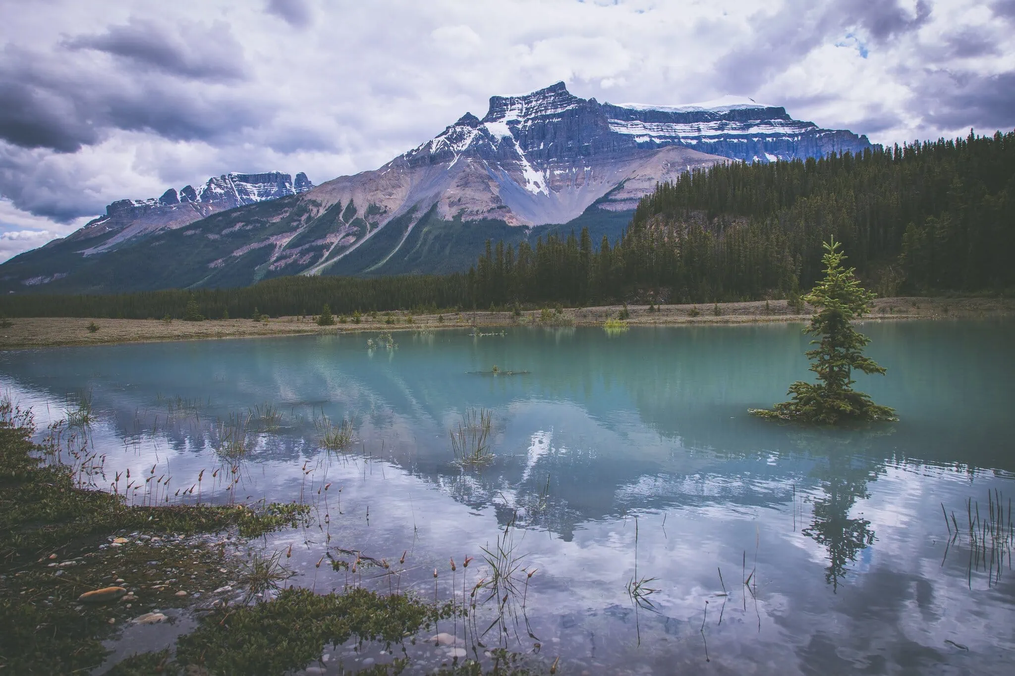 The pyramidal Mount Chephren and the calm surface of Waterfowl Lakes