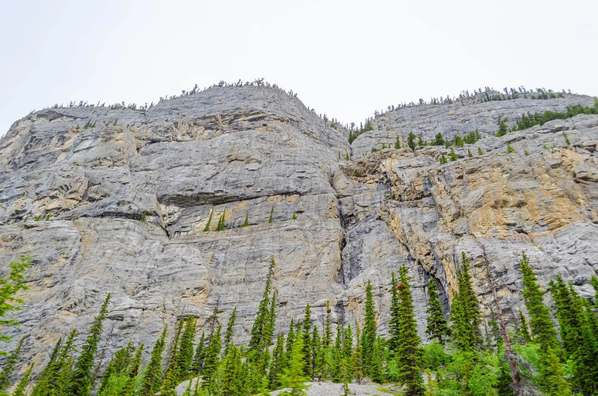 Weeping Wall on the Icefields Parkway