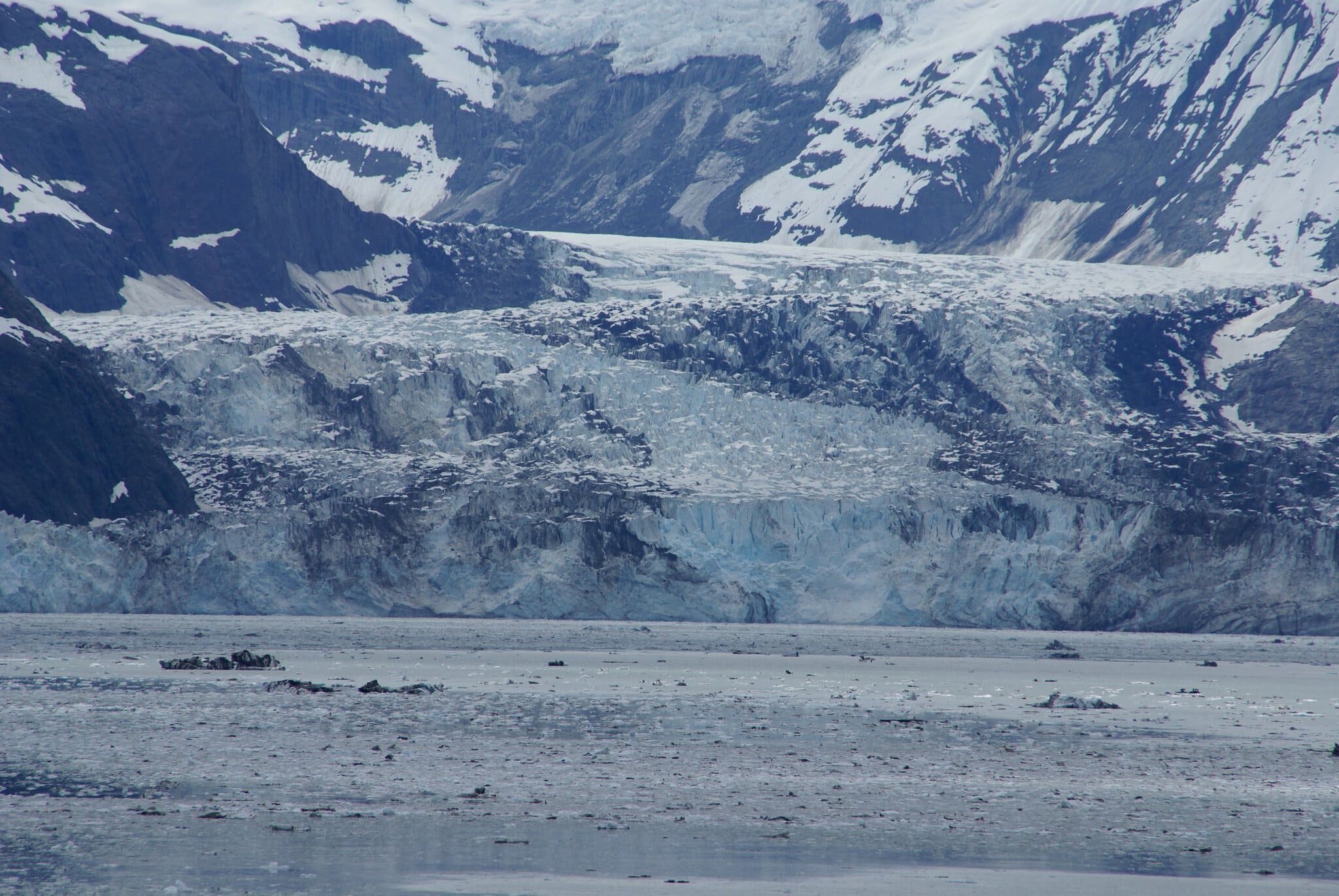 Glacier Bay Alaska: paradisul UNESCO fără drumuri de acces 3 Ghețarul Johns Hopkins din Glacier Bay, casa puilor de focă