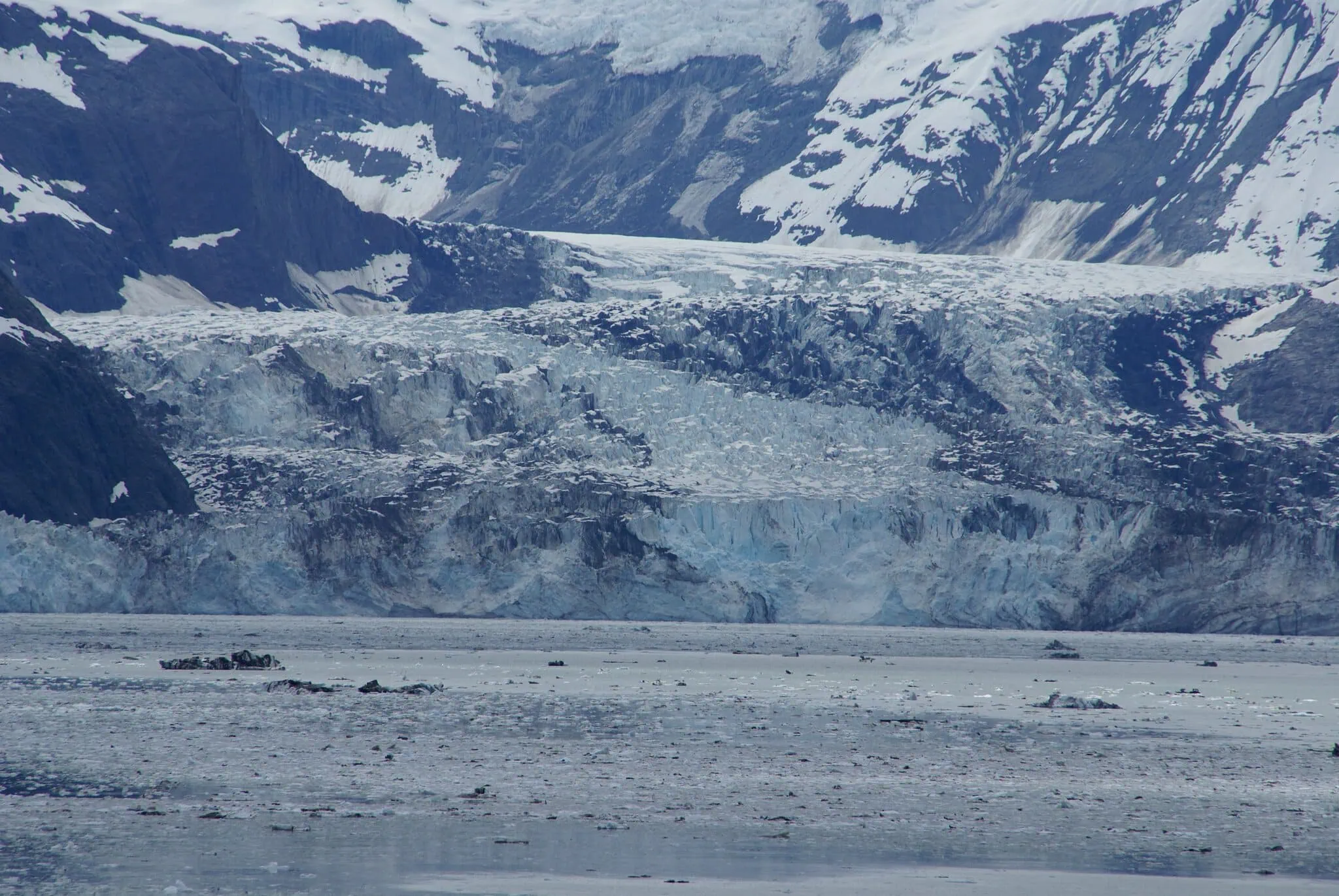 Johns Hopkins Glacier in Glacier Bay, home of seal pups