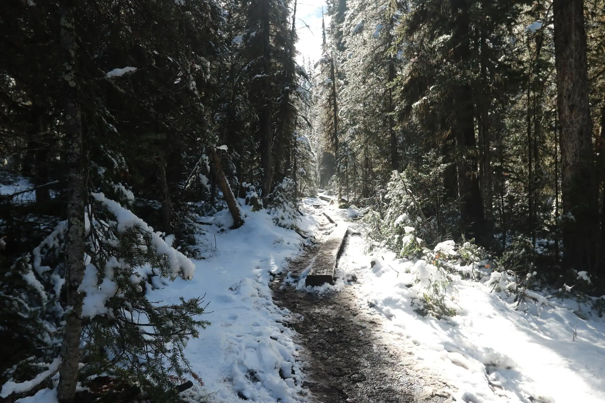 Kananaskis, Kanada: 10 tipů treky mimo davy 6 Alpské Rawson Lake pod skalní stěnou v Kananaskis