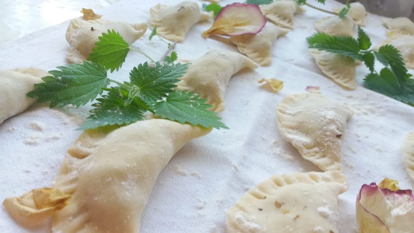 Pierogi ruskie – tradiční polská vegetariánská specialita