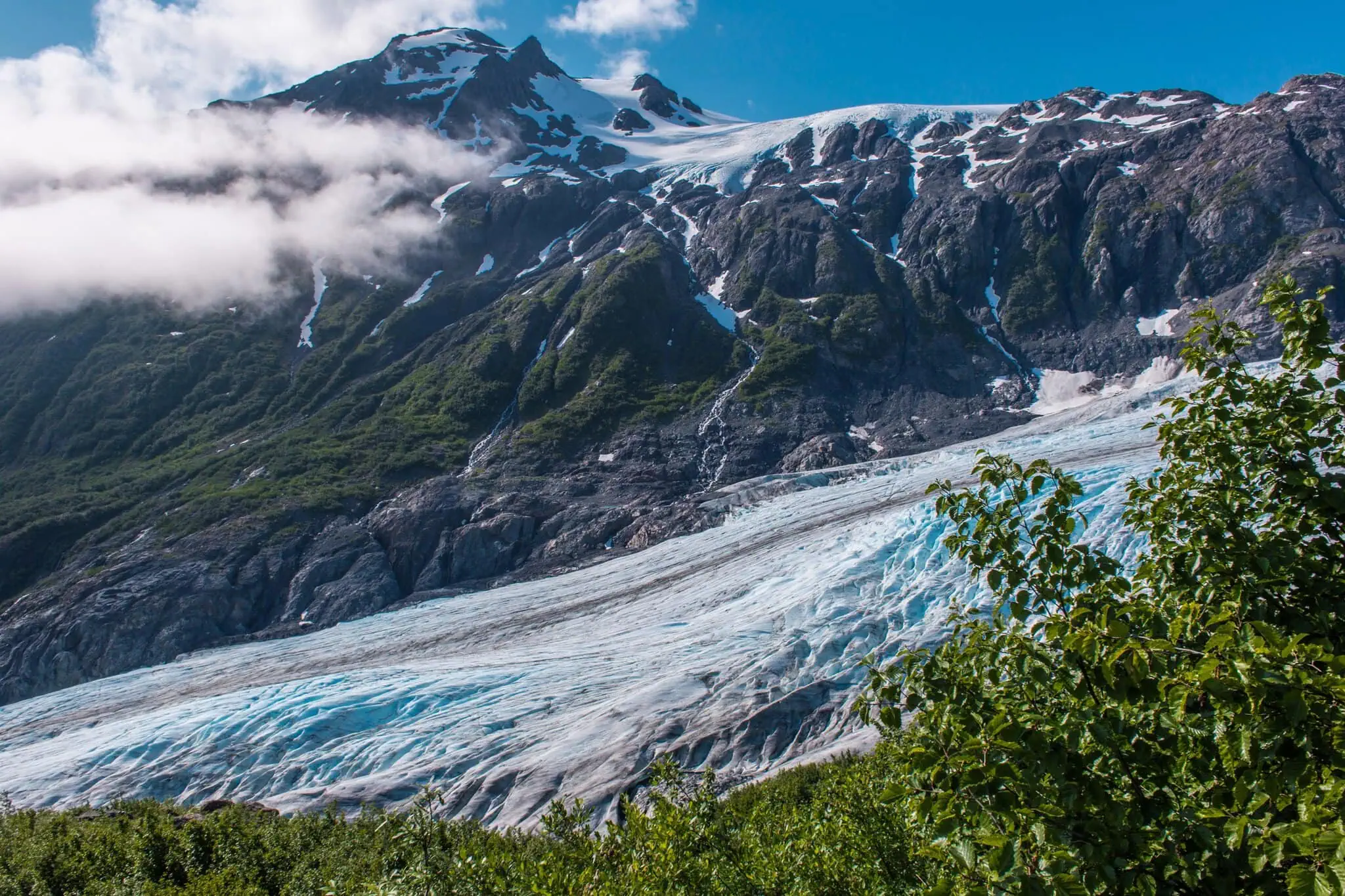 Exit Glacier ledovec na Aljašce