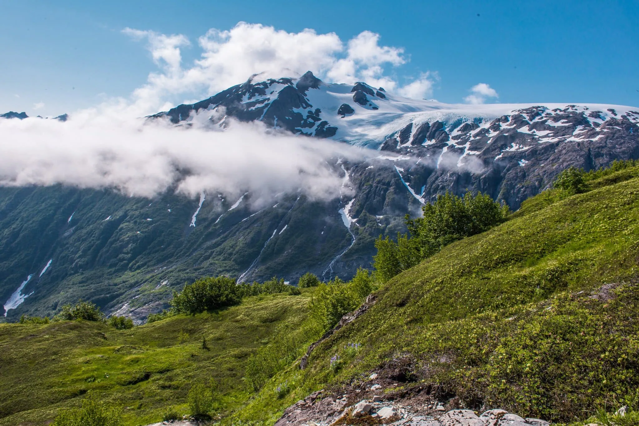 Harding Icefield Trail výhled na zasněžené štíty