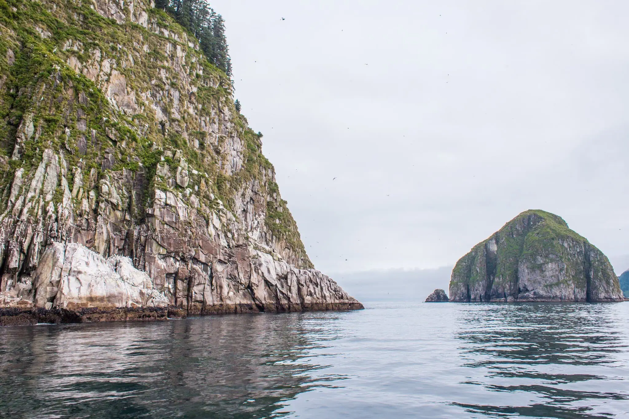 Aljaška roadtrip: Nejlepší itinerář na 7, 10, 14 a 21 dní 10 Skalnaté ostrovy v Kenai Fjords National Park v mlze