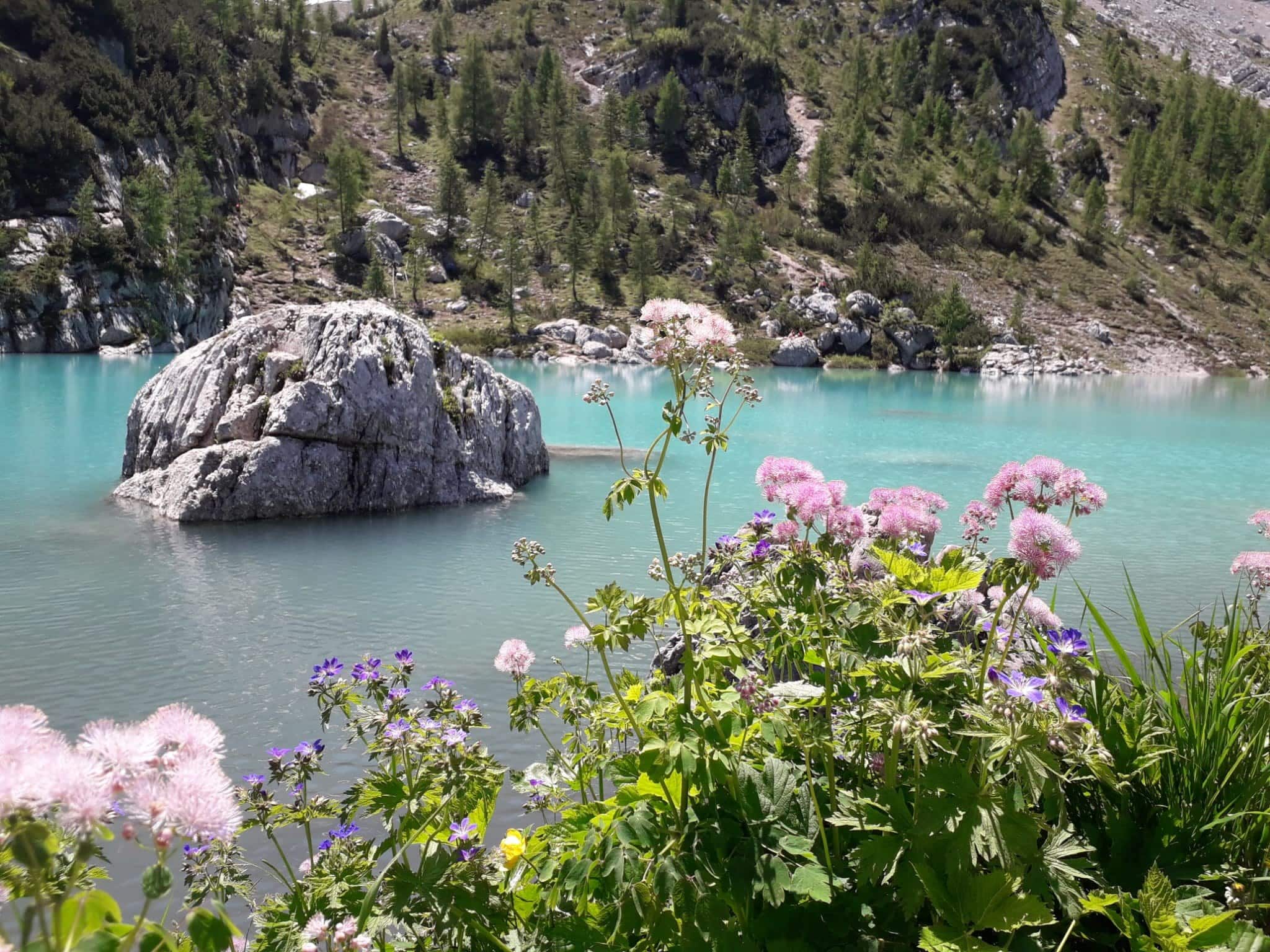 Lago di Sorapis, Dolomieten: 10 tips voor wat te zien en doen 8 Oever van het turquoise Lago di Sorapis tijdens de rondwandeling