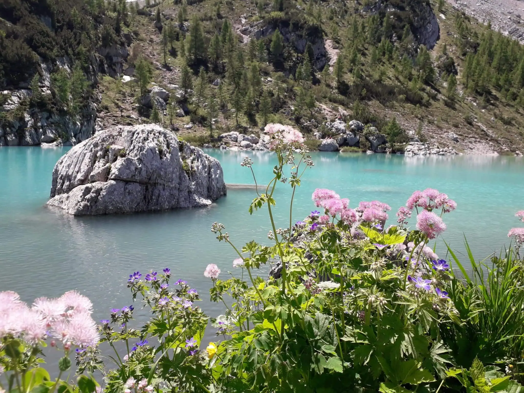 Lago di Sorapis, Dolomiterna: 10 tips om vad du ska se och göra 8 Stranden längs Lago di Sorapis under en runda runt sjön