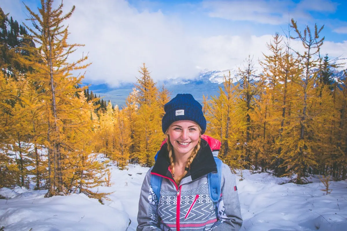 Podzim na Lake Louise se zlatými modříny a sněhem na vrcholech