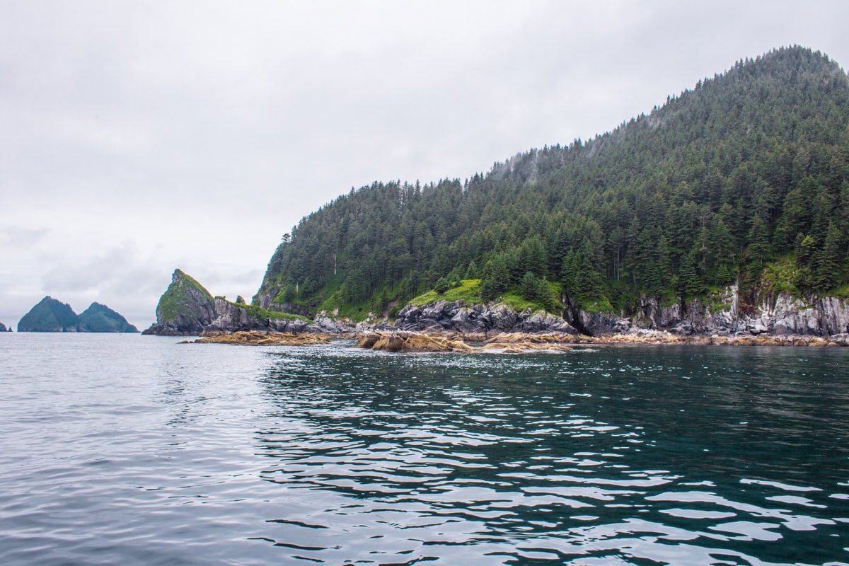 Alaska: 30 de locuri de văzut + itinerar pentru un road trip 7 Insulă împădurită într-un fiord din Parcul Național Kenai Fjords