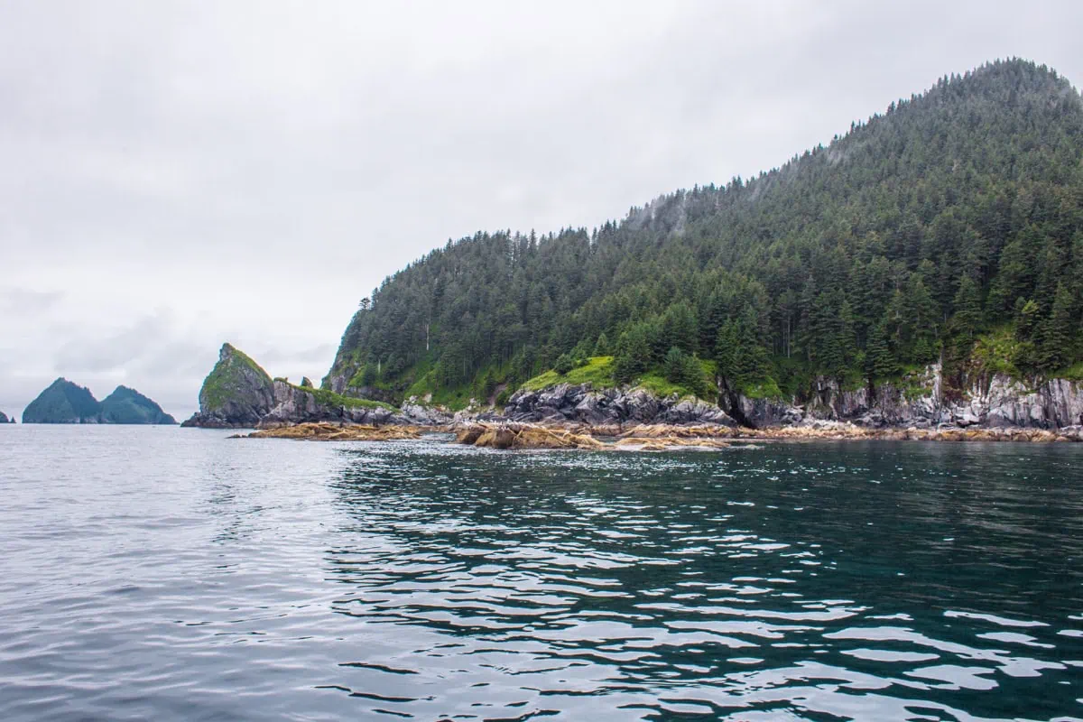 Zalesněný ostrov ve fjordu národního parku Kenai Fjords
