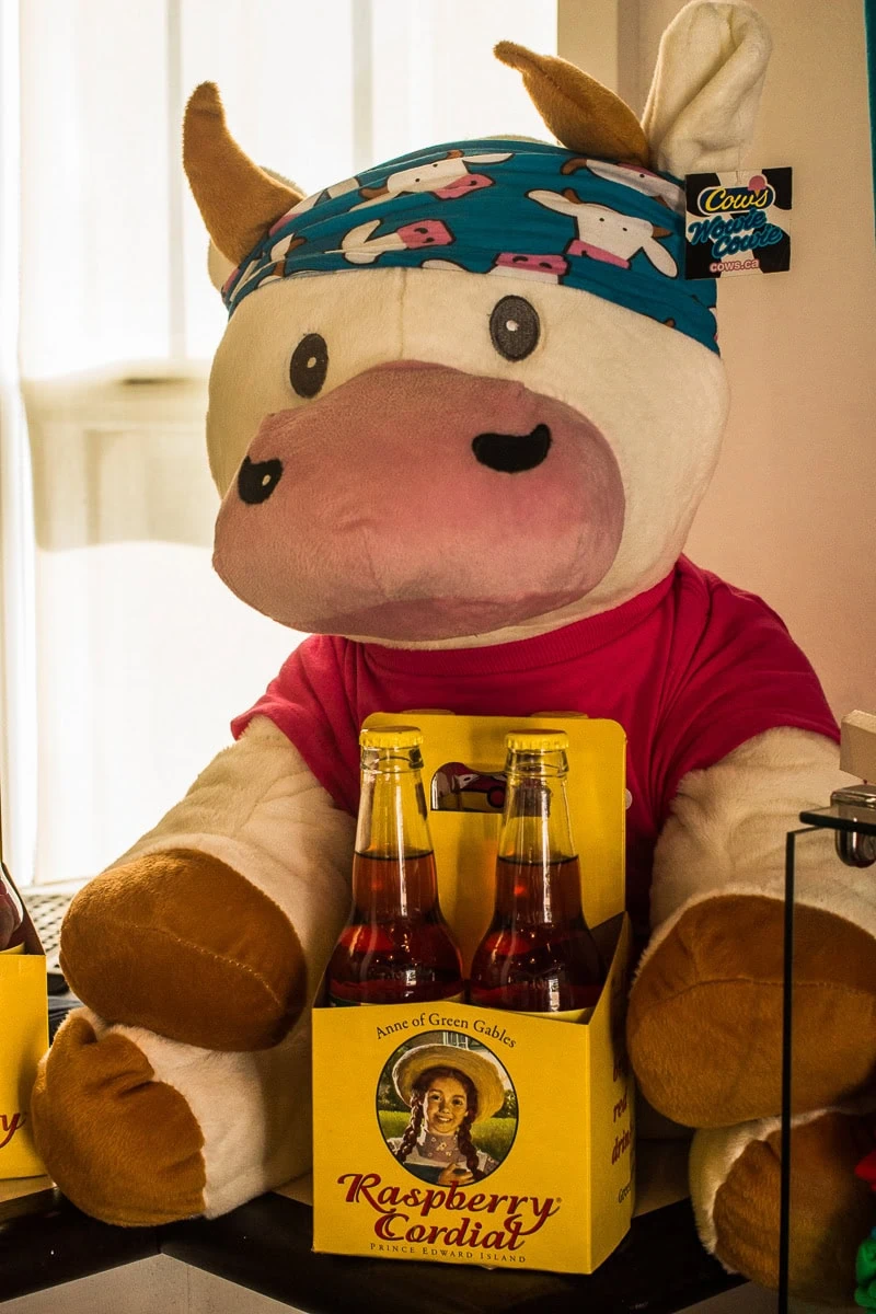 Mascotte con birra al birrificio di Halifax