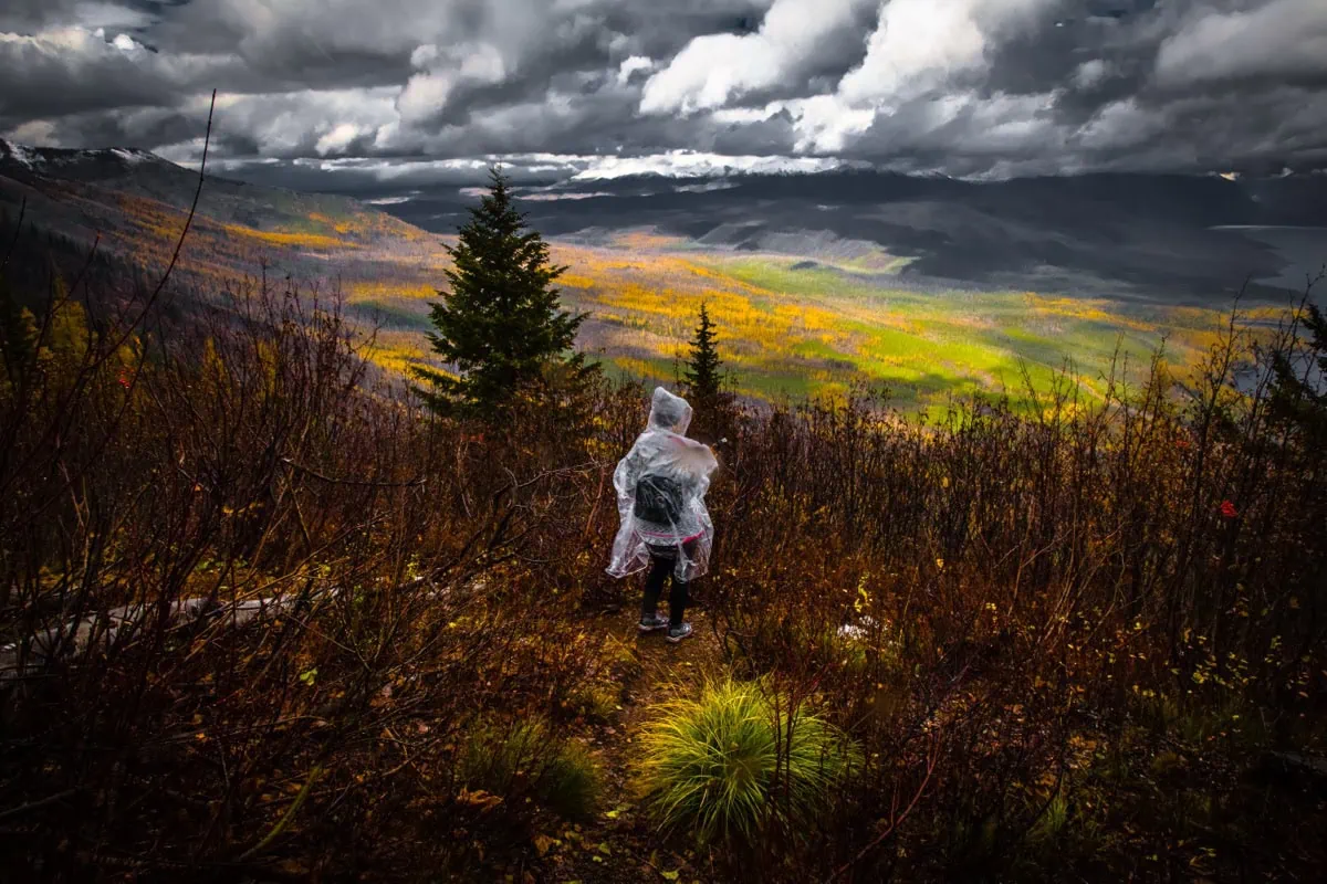 Turista obdivuje horskou krajinu Mount Rainier