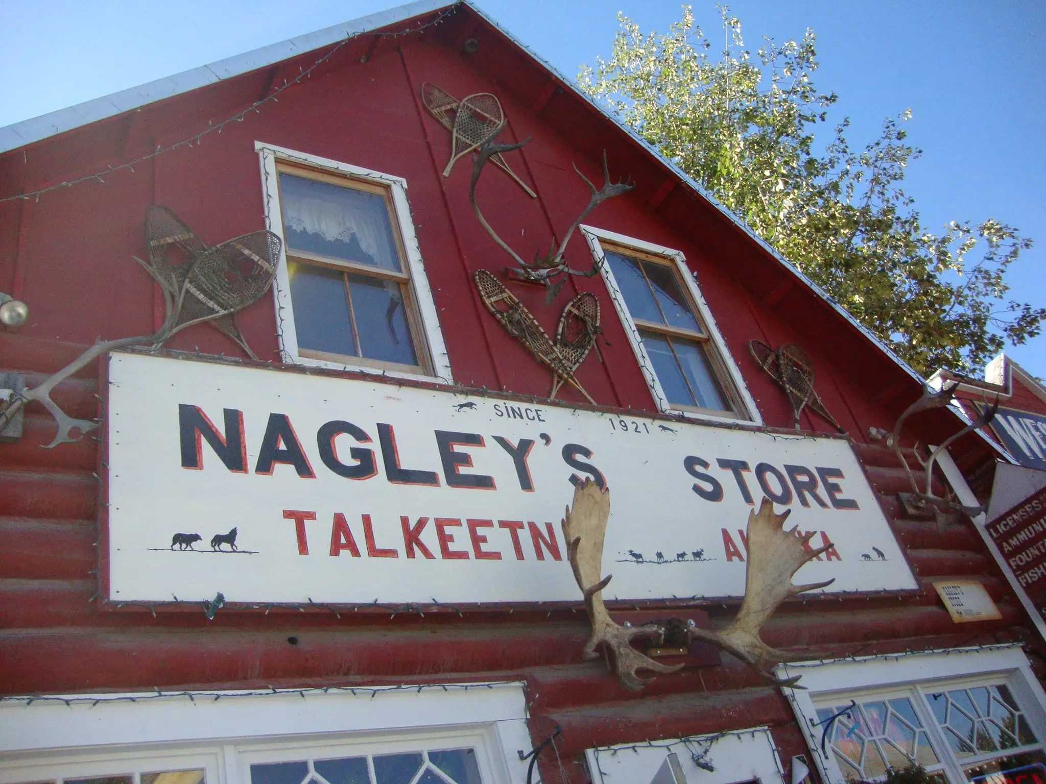 Nagley's General Store v Talkeetně, domov kočičí starostky