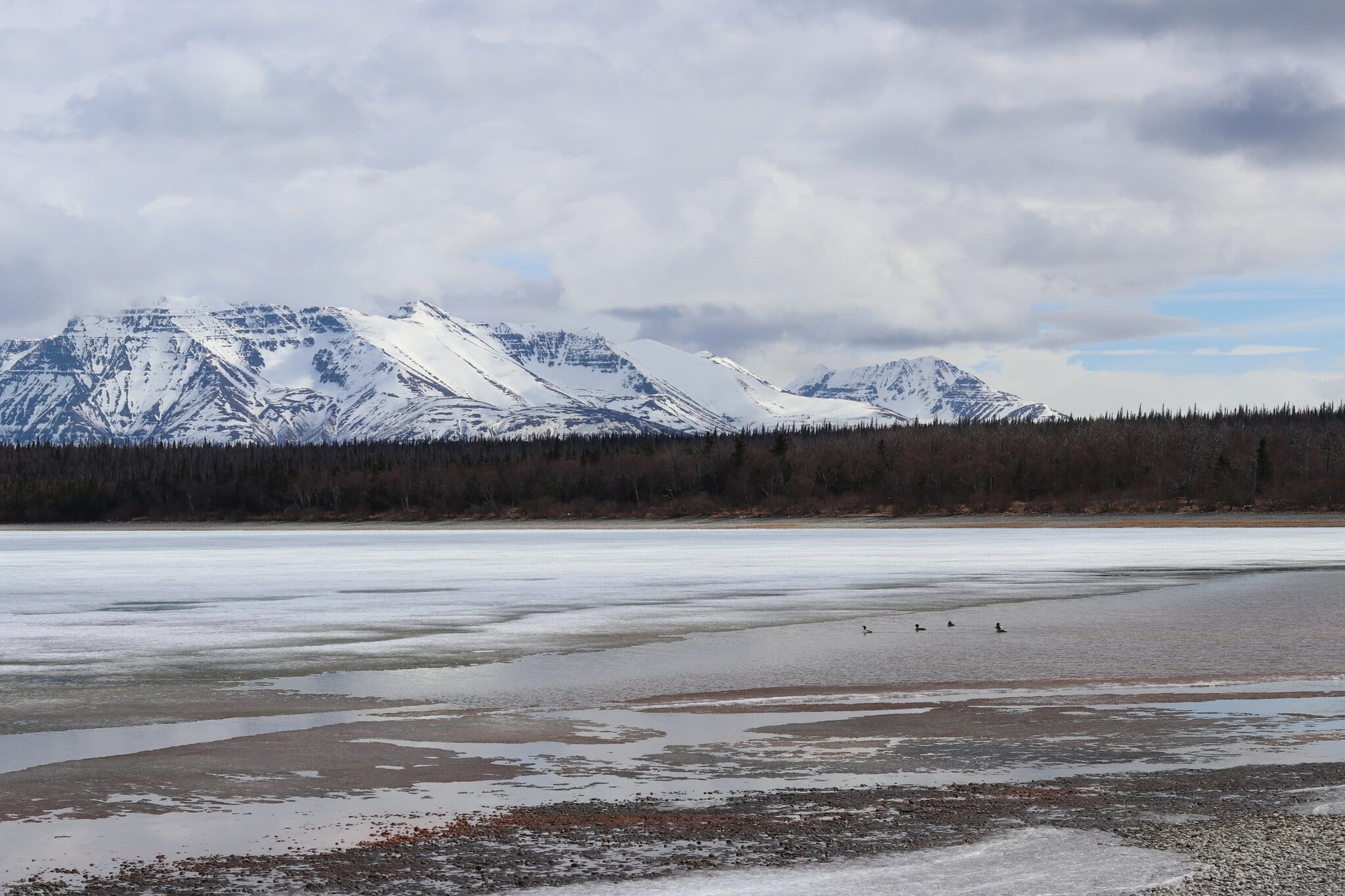 Katmai și Brooks Falls, Alaska: observarea urșilor (Fat Bear Week) 12 Naknek Lake în Katmai, pescuit de clasă mondială