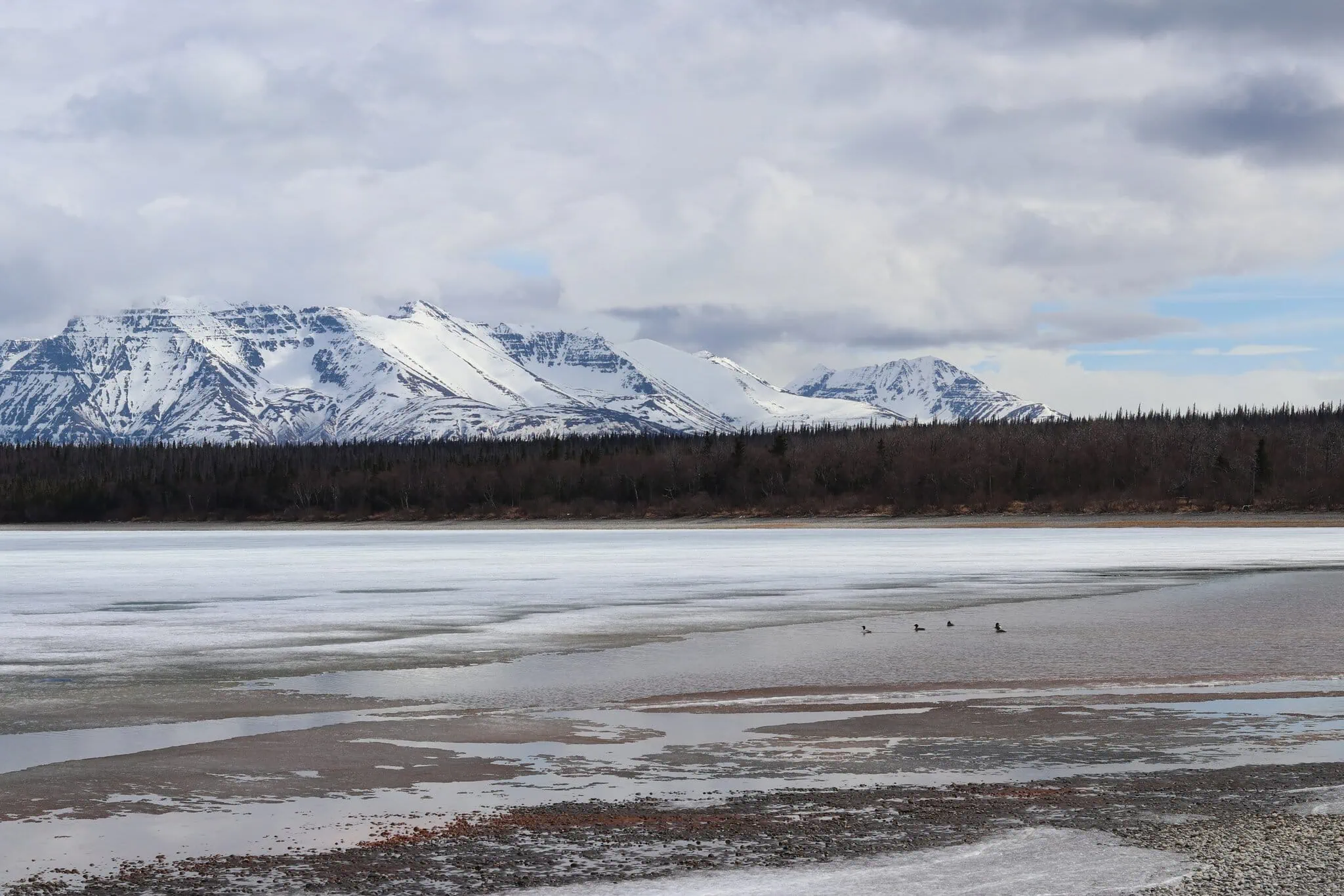 Katmai a Brooks Falls, Aljaška: ikonické sledovanie medveďov (Fat Bear Week) 12 Naknek Lake v Katmai, rybolov svetovej triedy
