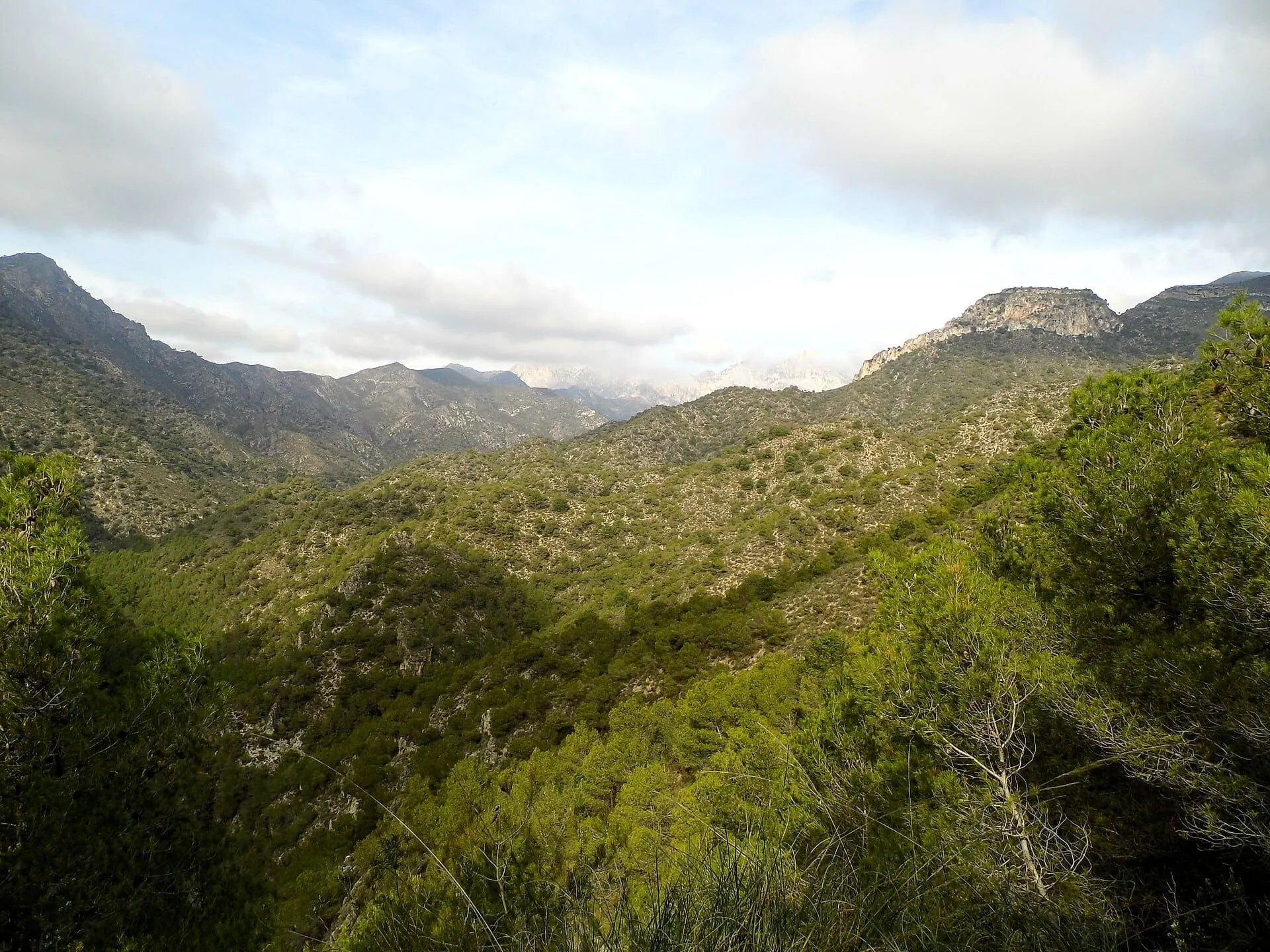 Nerja, Španielsko: jaskyne, pláže a Balkón Európy 13 Výlet do bielej dedinky Frigiliana