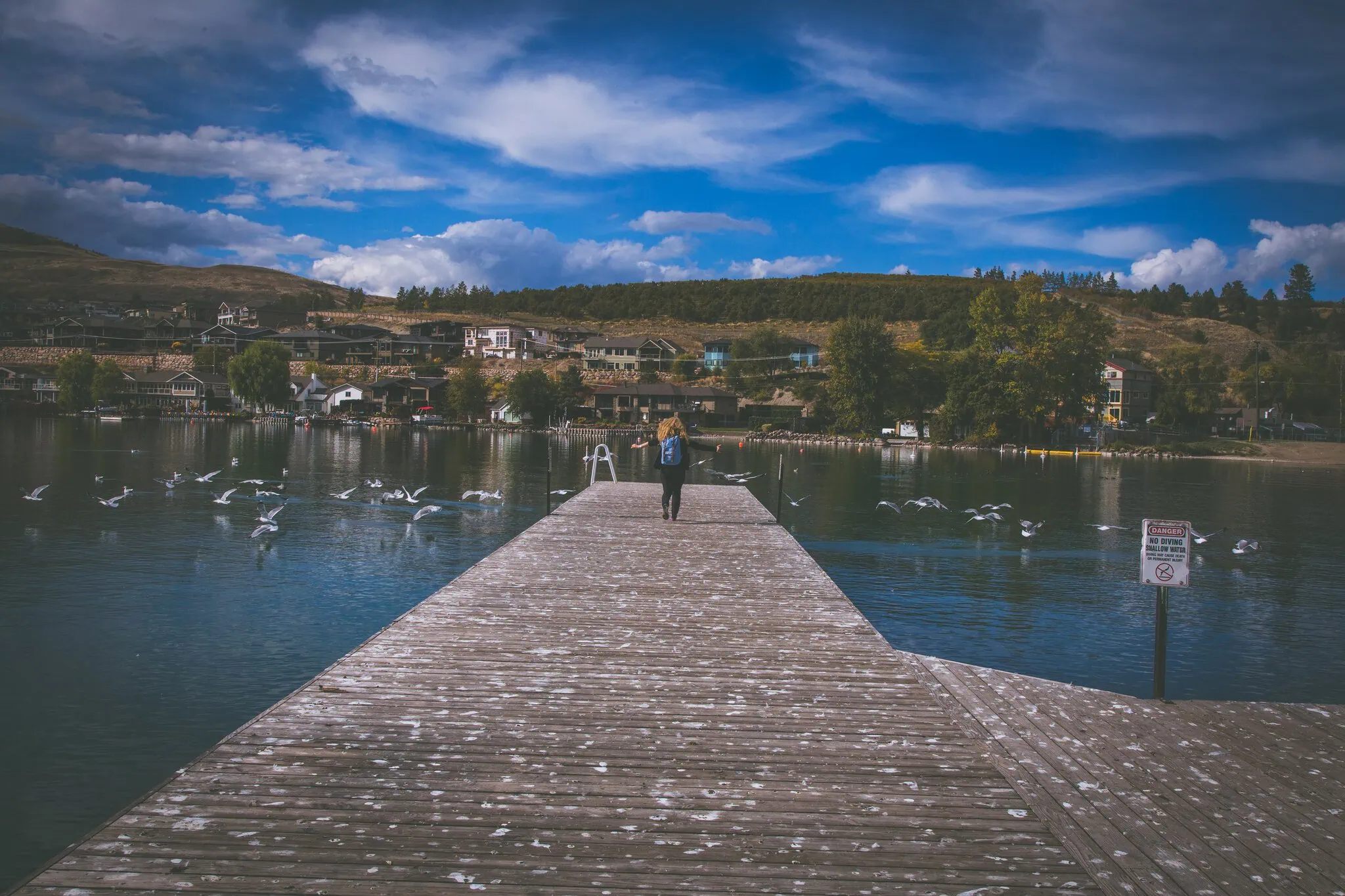 Dřevěné molo na Okanagan Lake v Kelowně s hejny racků