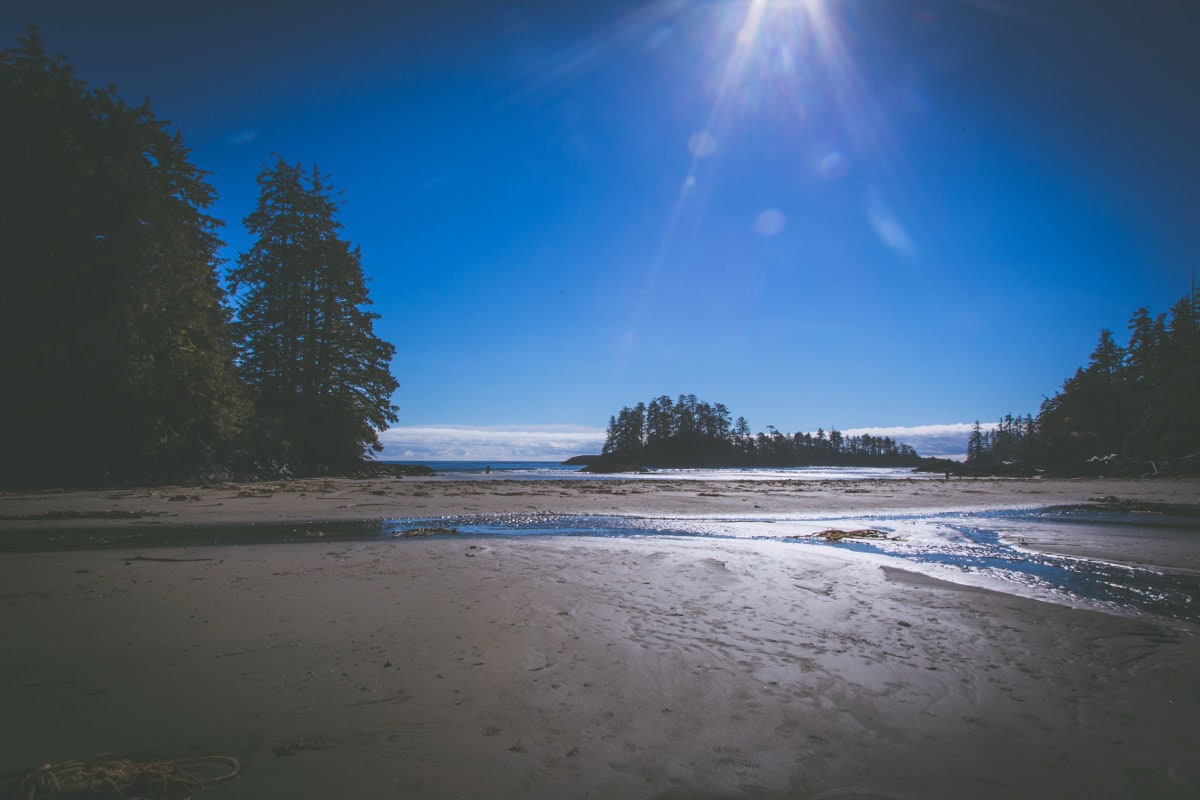 Olympic National Park, Washington SUA: 15 locuri de văzut și lucruri de făcut 8 Plaja larga de nisip pe coasta salbatica Olympic