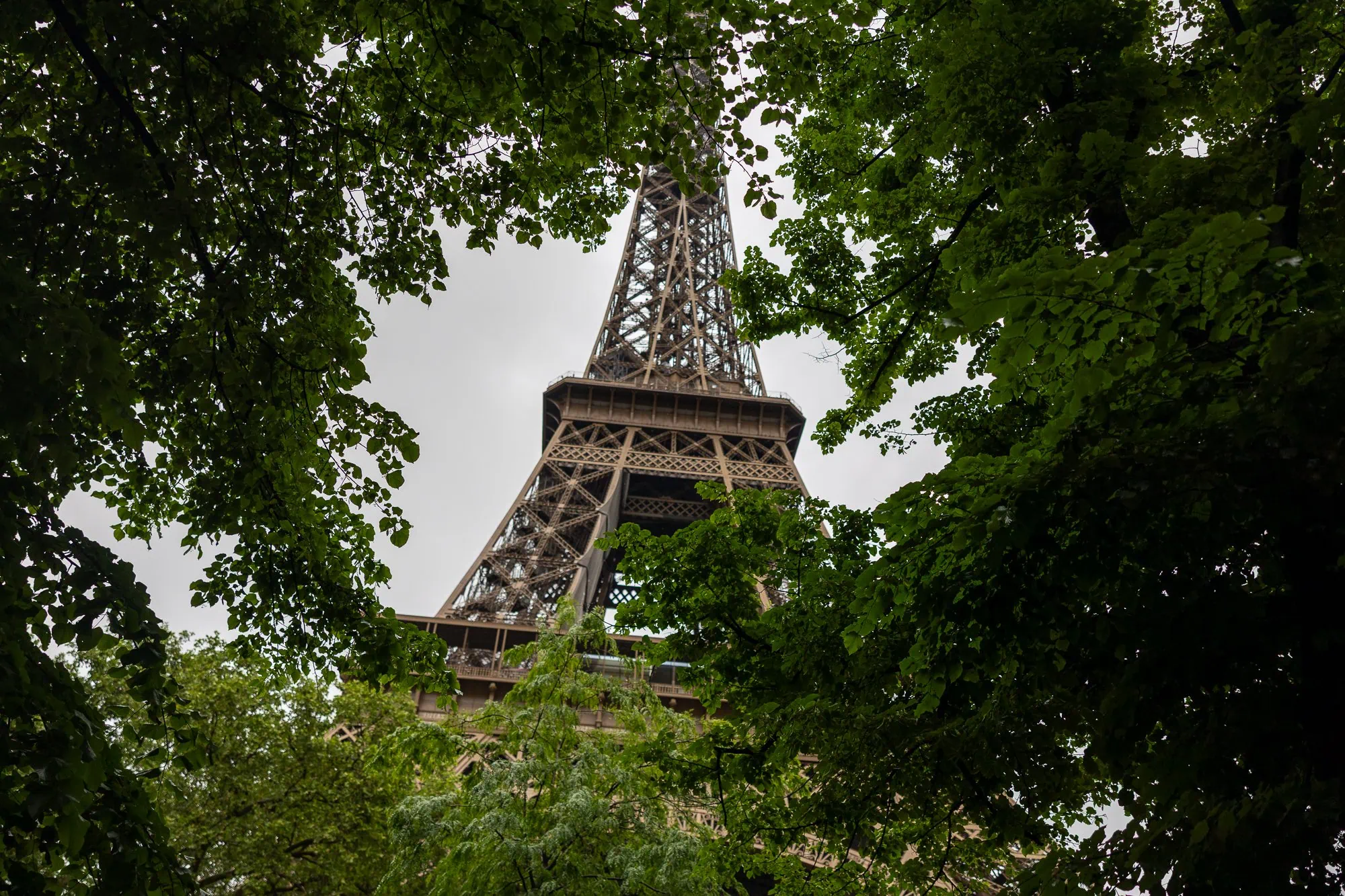 Paris in 3 Days: The Perfect Itinerary (+ 2 and 5-Day Variations) 6 The Eiffel Tower photographed through green tree branches