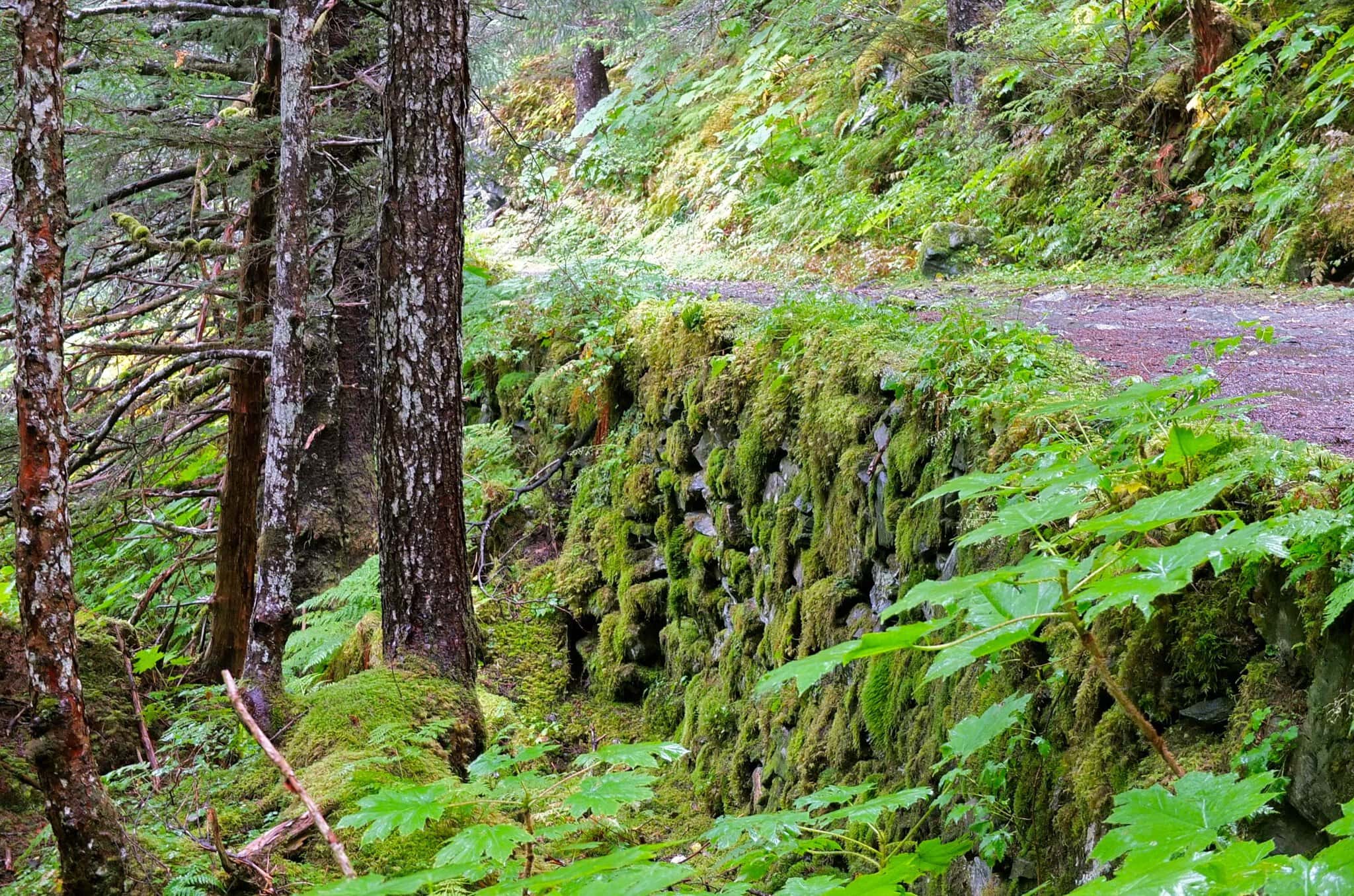 Sendero Perseverance Trail cerca de Juneau