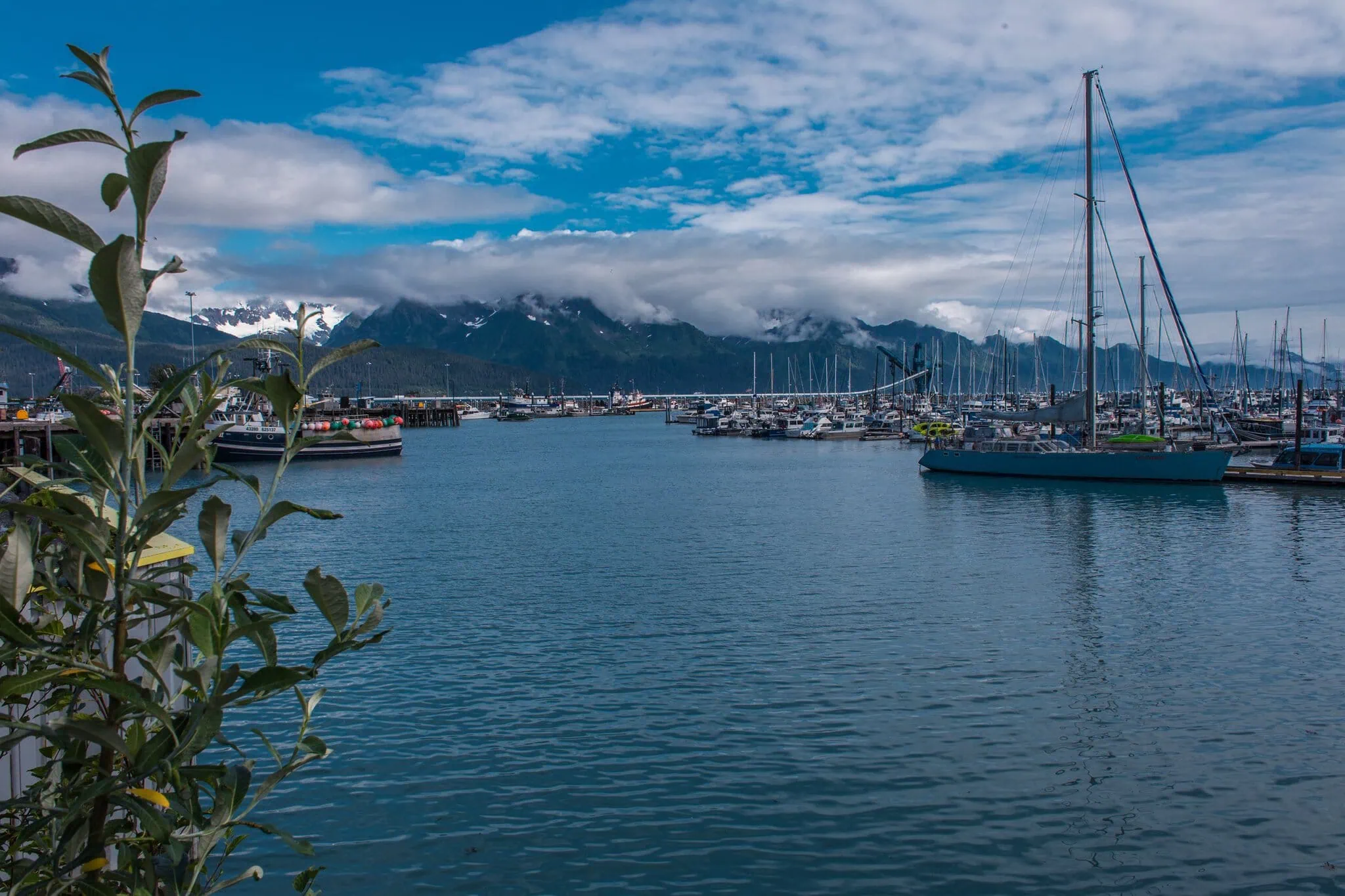 Aljaška roadtrip: Nejlepší itinerář na 7, 10, 14 a 21 dní 9 Seward Boat Harbor s horami v pozadí