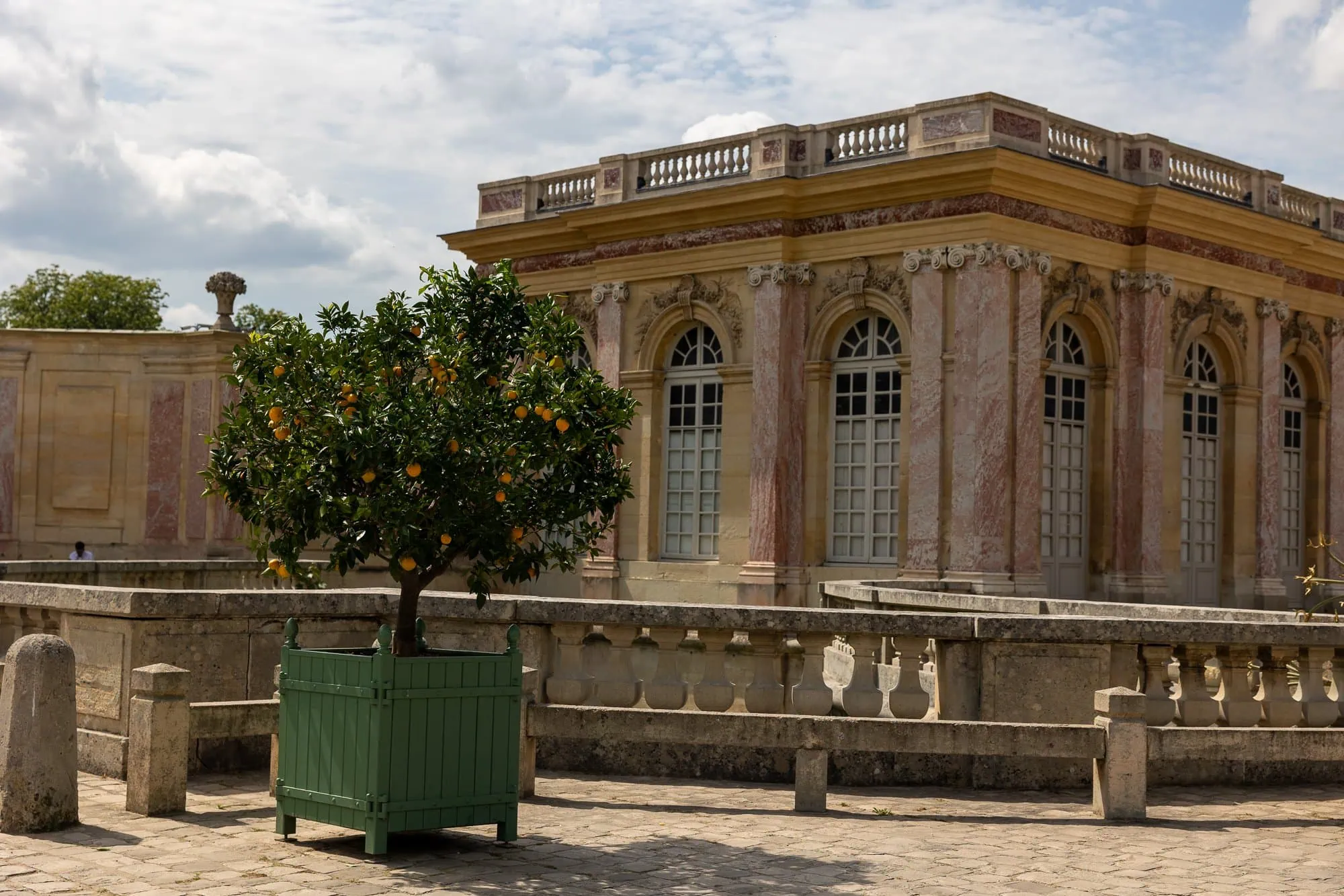 Klasicistická budova Versailles s pomarančovníkom v zelenej nádobe