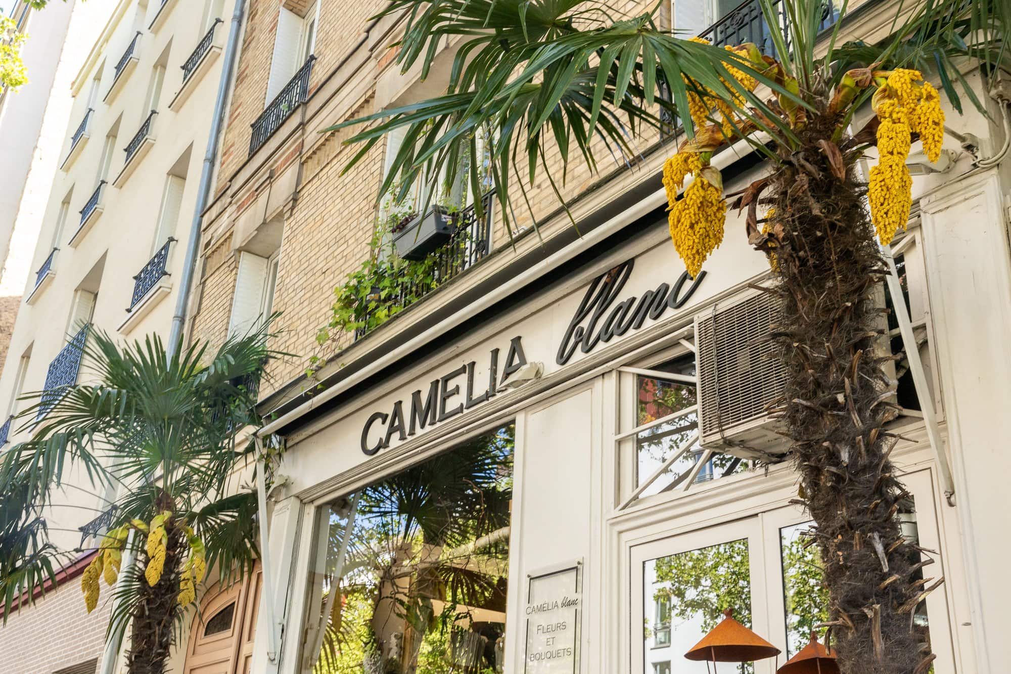 Hemliga Paris: 30 dolda pärlor dit turistmassan aldrig hittar 11 Elegant blomsterhandel Camelia blanc med gula blommor och palmer i centrala Paris