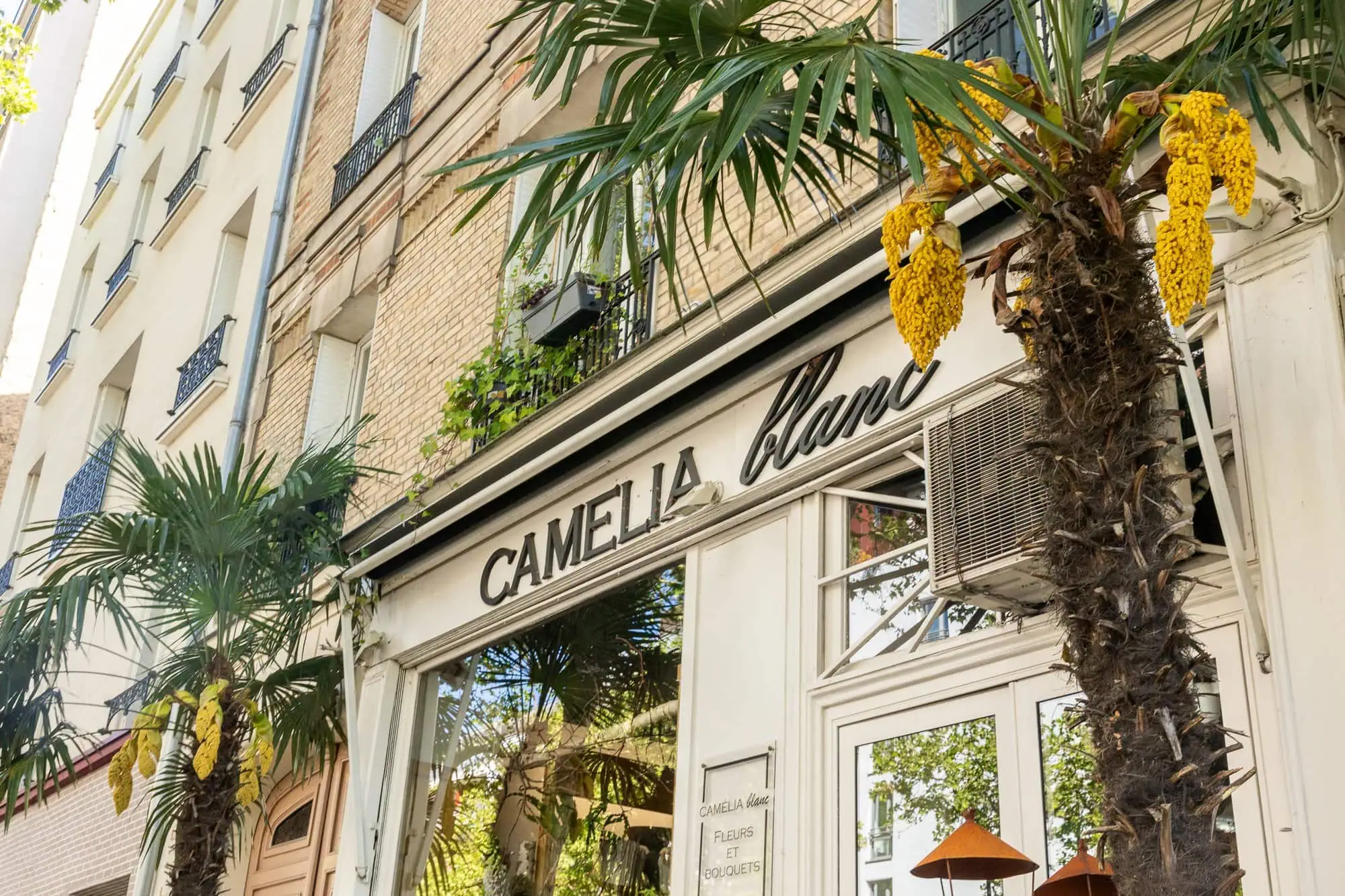 Elegantné kvetinárstvo Camelia blanc so žltými kvetmi a palmami v centre Paríža
