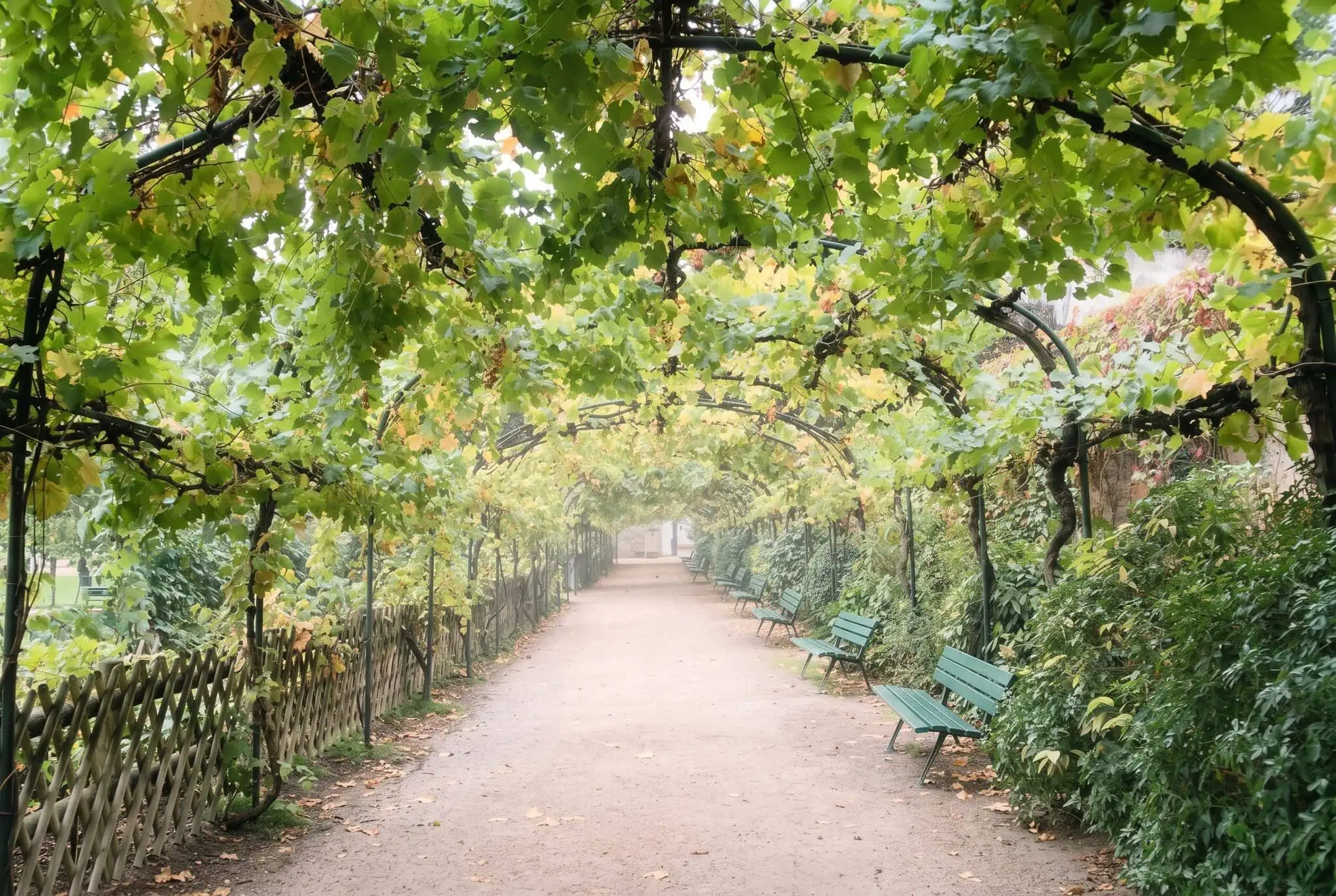 Zamurovaná záhrada Jardin Catherine-Labouré s vinnou révou