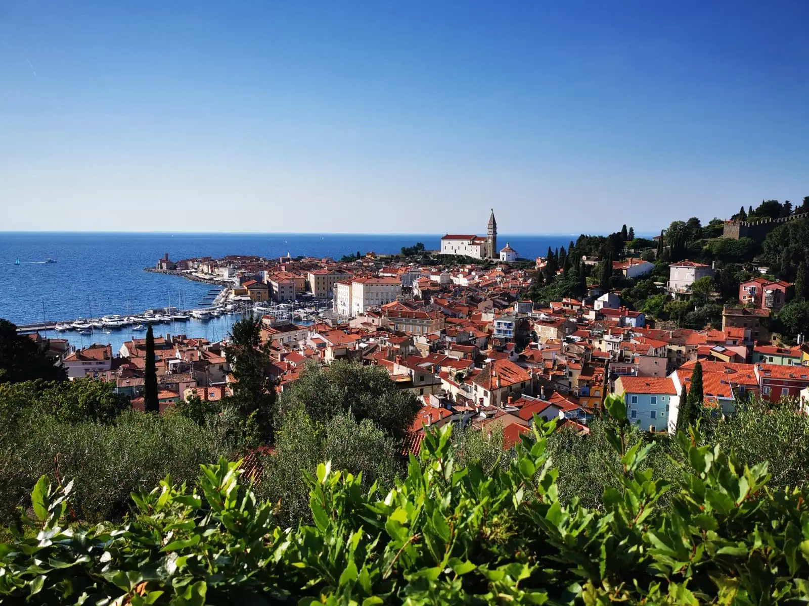 Pohled na přímořské městečko Piran