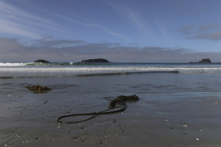 Britská Kolumbie 6 Tofino, Kanada: 12 tipů, co vidět a dělat (surf, storm watching, Pacific Rim)
